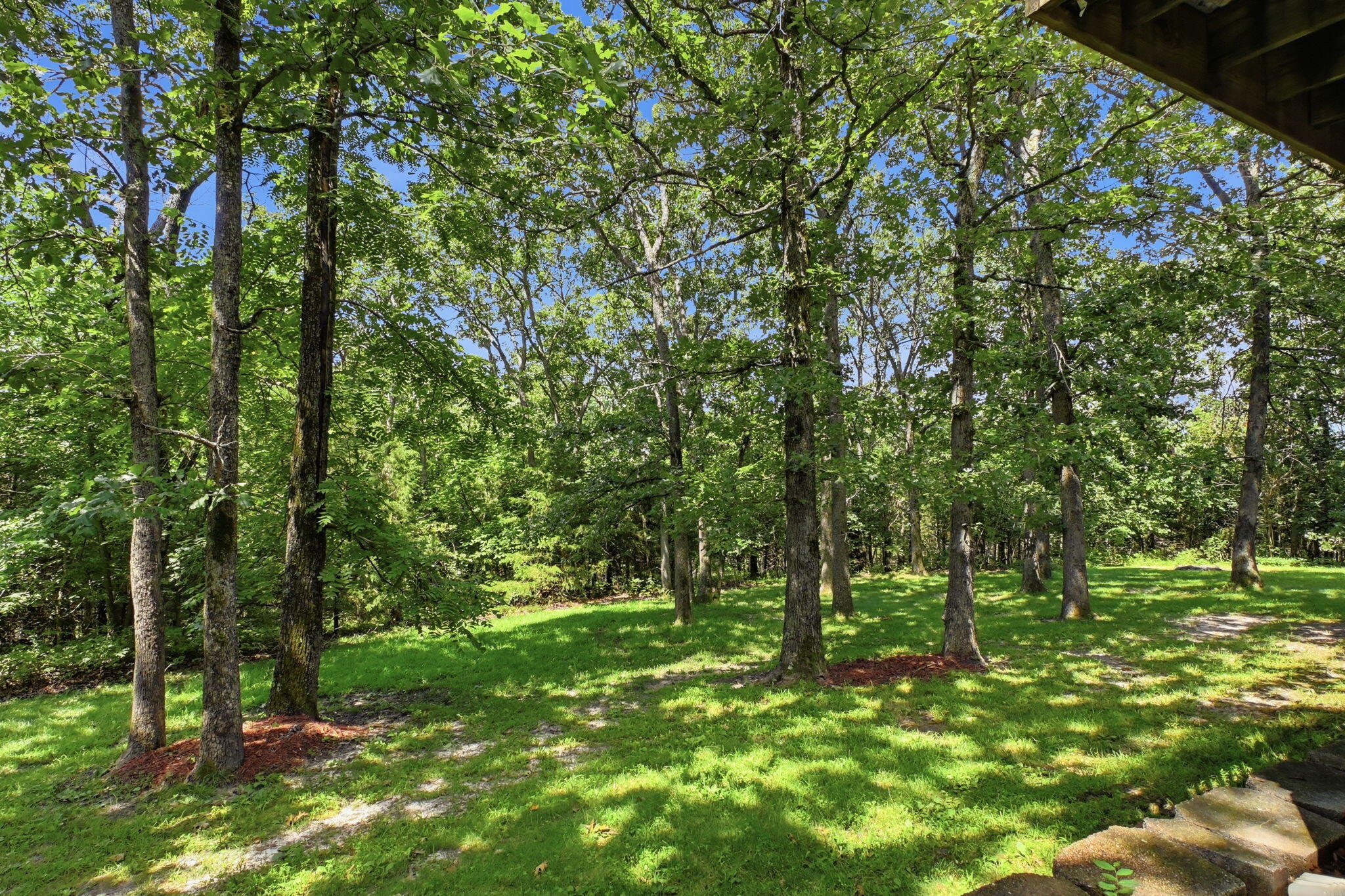 Photo 54 - Residential for sale – 4327 S 165th Road  Bolivar, MO