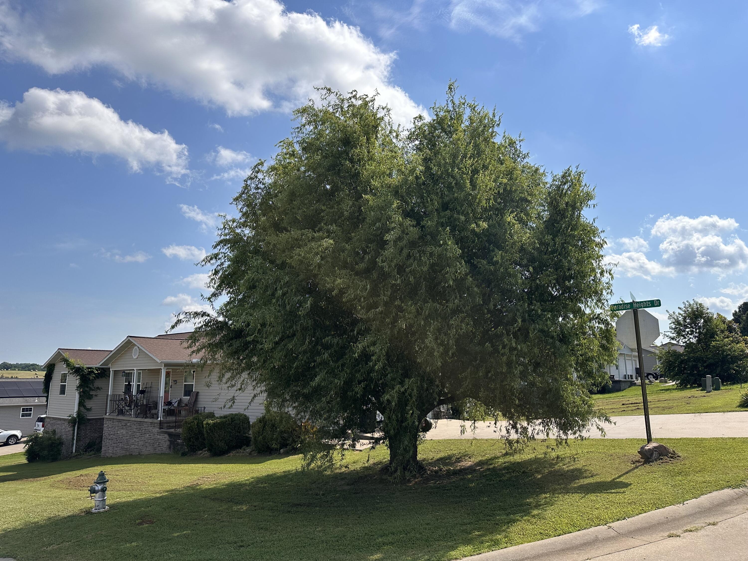 Photo 4 - Residential for sale – 604  Paradise Heights Drive  Berryville, AR