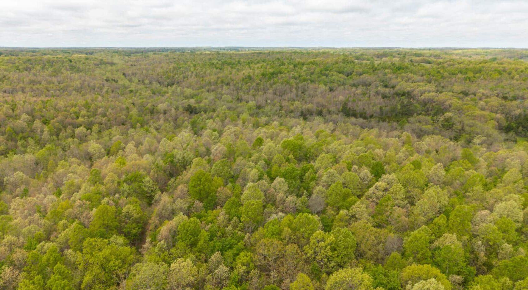 Land for sale – 000 Cass Road Hartville, MO