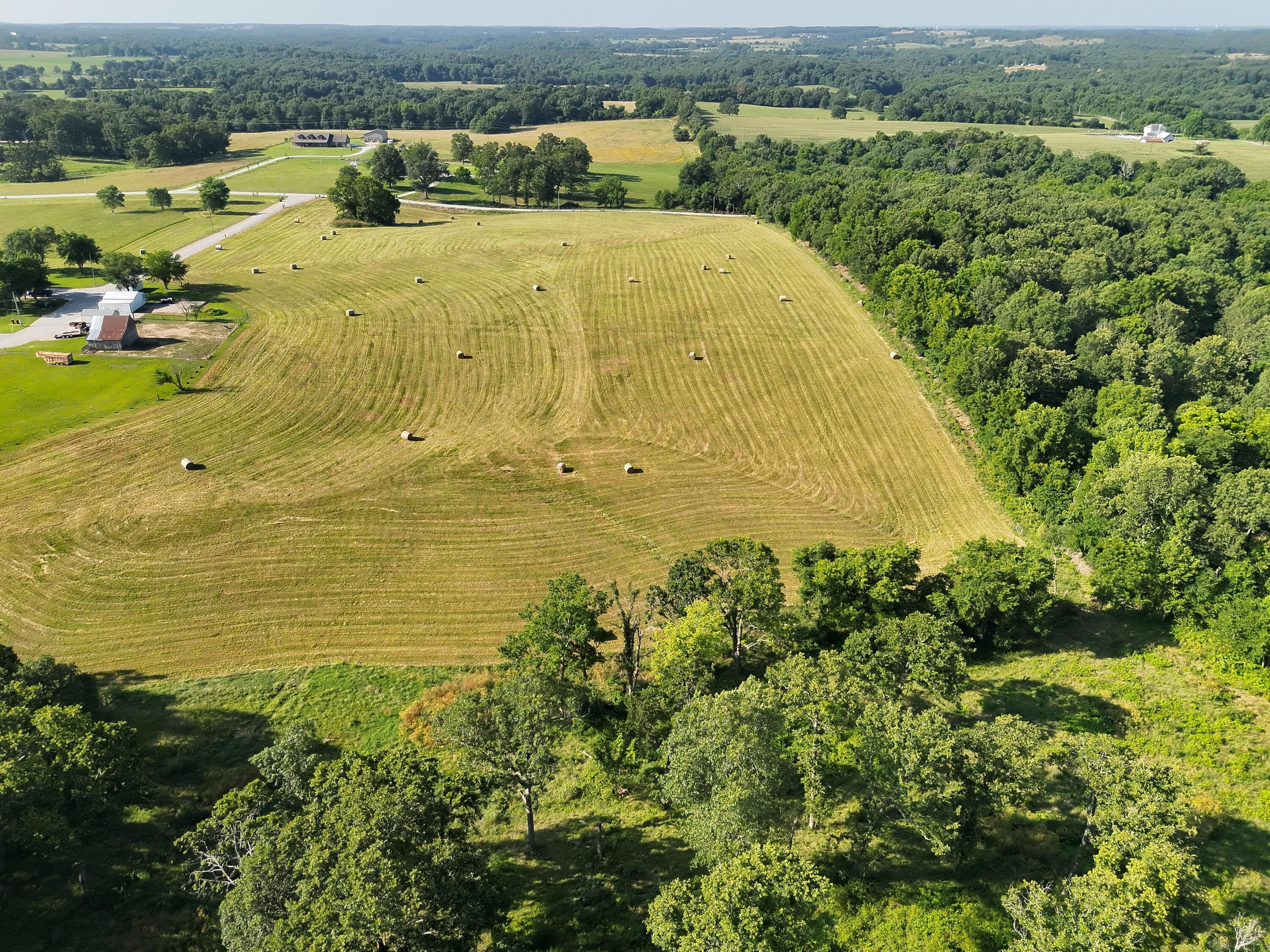 Photo 2 - Land for sale – 1 W Farm Road 194   Billings, MO