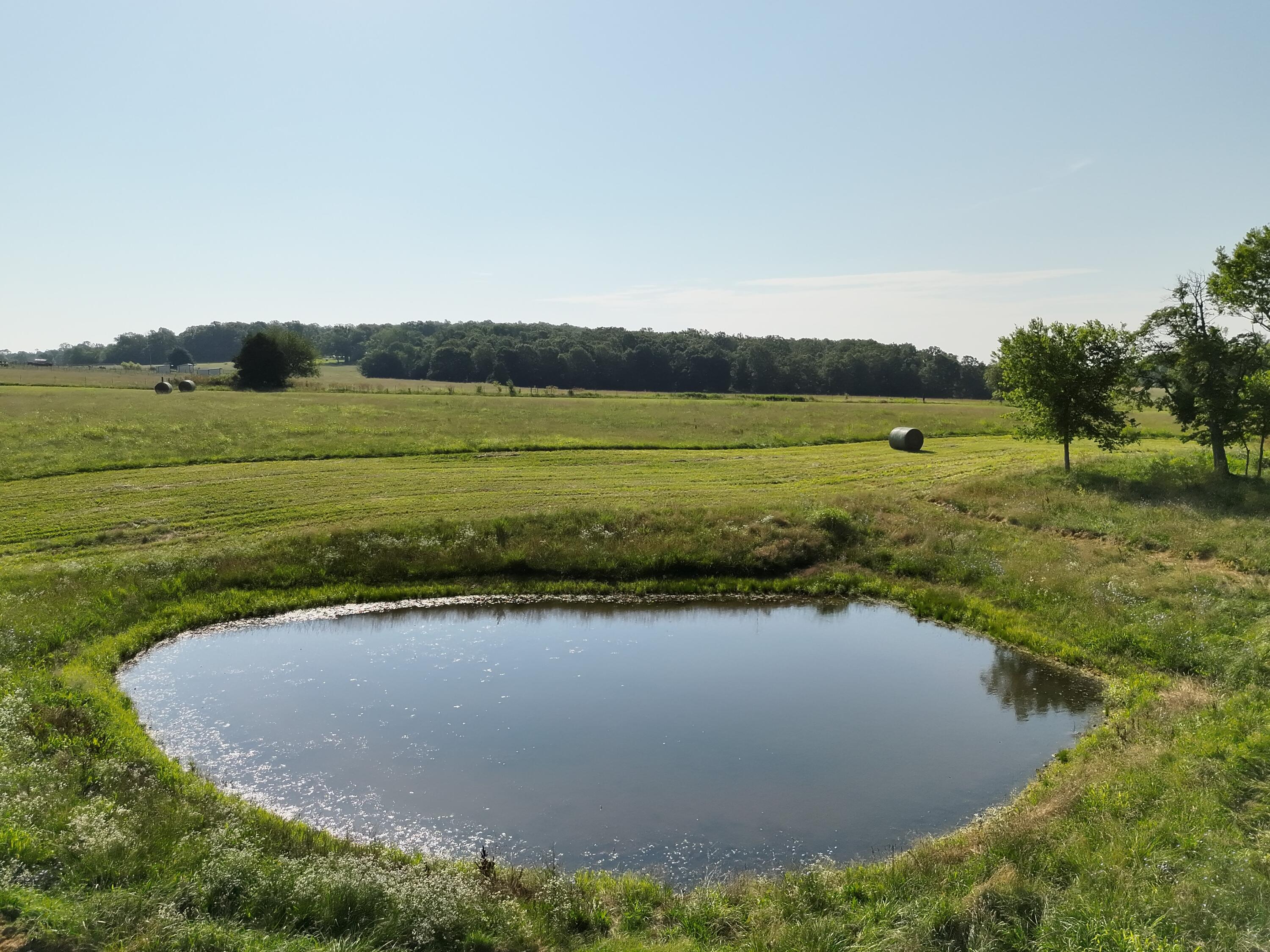 Photo 4 - Land for sale – 2 W Farm Road 194   Billings, MO