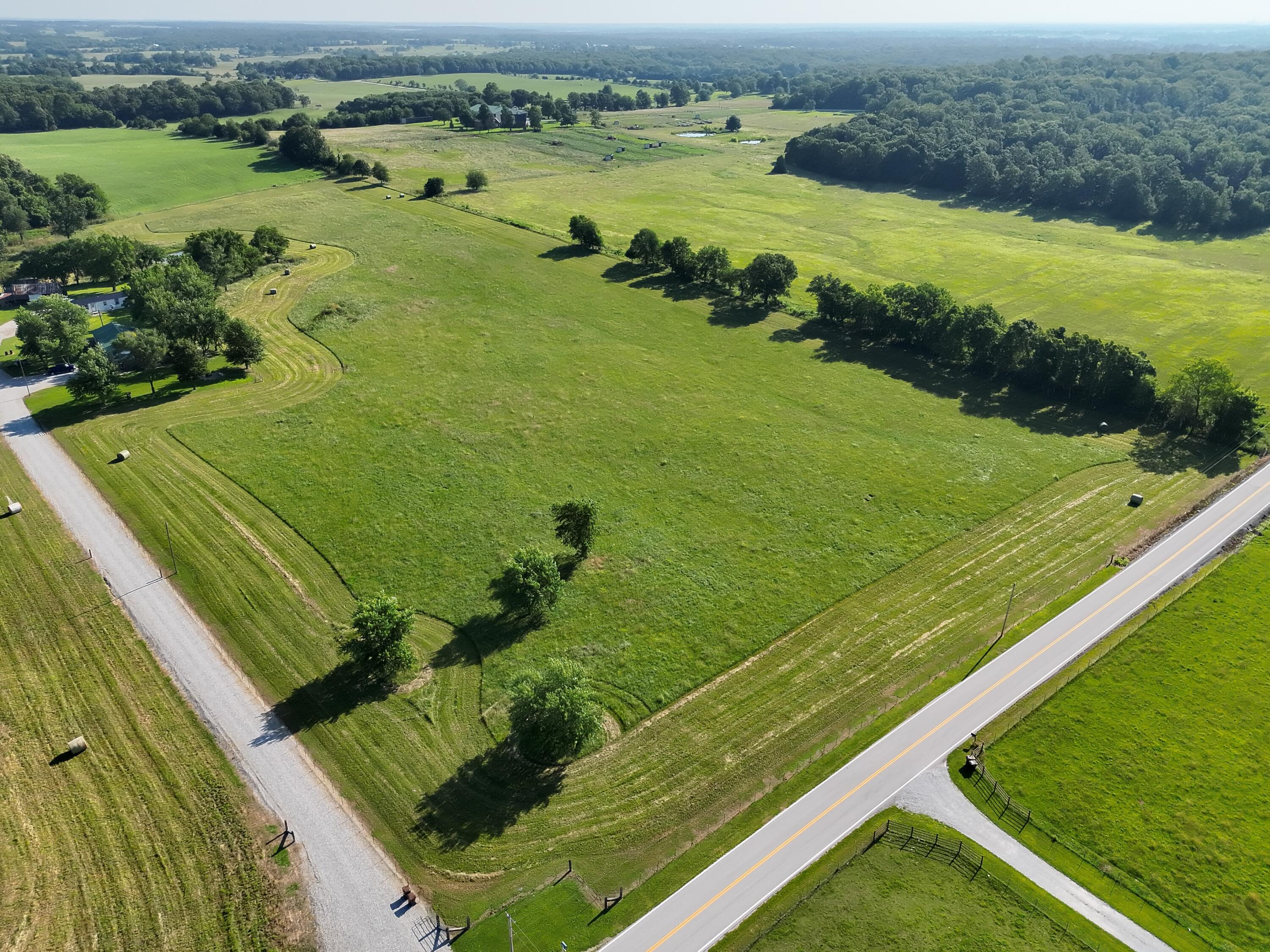 Photo 5 - Land for sale – 2 W Farm Road 194   Billings, MO