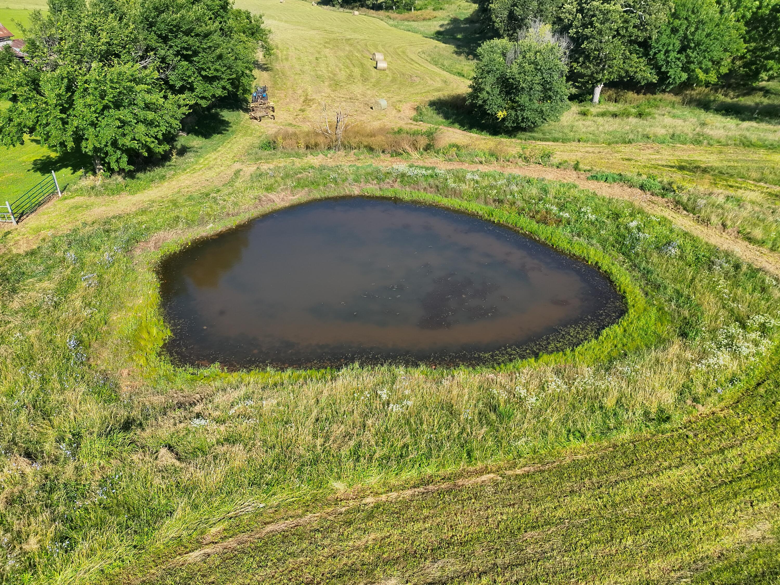 Photo 2 - Land for sale – 2 W Farm Road 194   Billings, MO