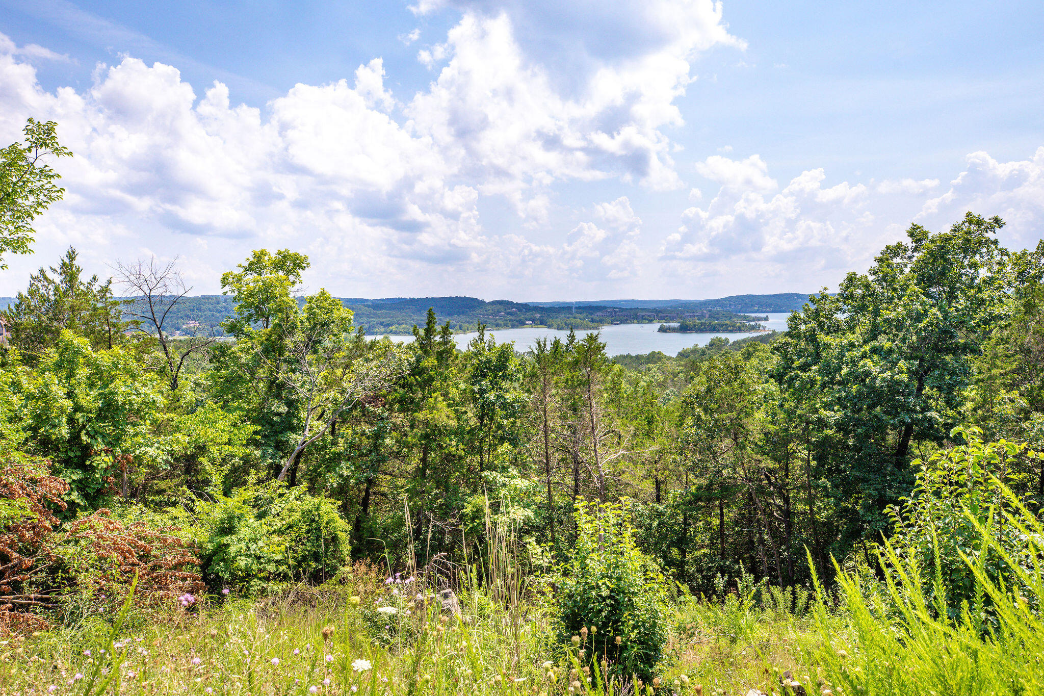 Photo 10 - Land for sale – Lot 91  Samaras Way  Hollister, MO