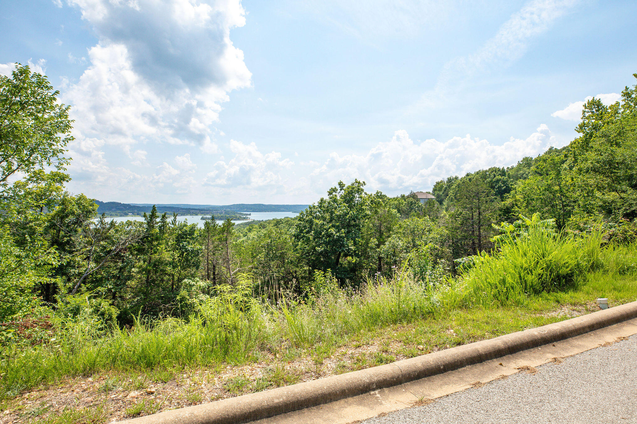 Photo 11 - Land for sale – Lot 91  Samaras Way  Hollister, MO