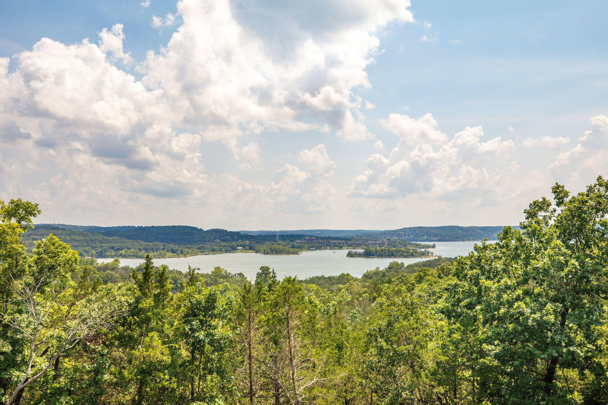 Photo 9 - Land for sale – Lot 91  Samaras Way  Hollister, MO