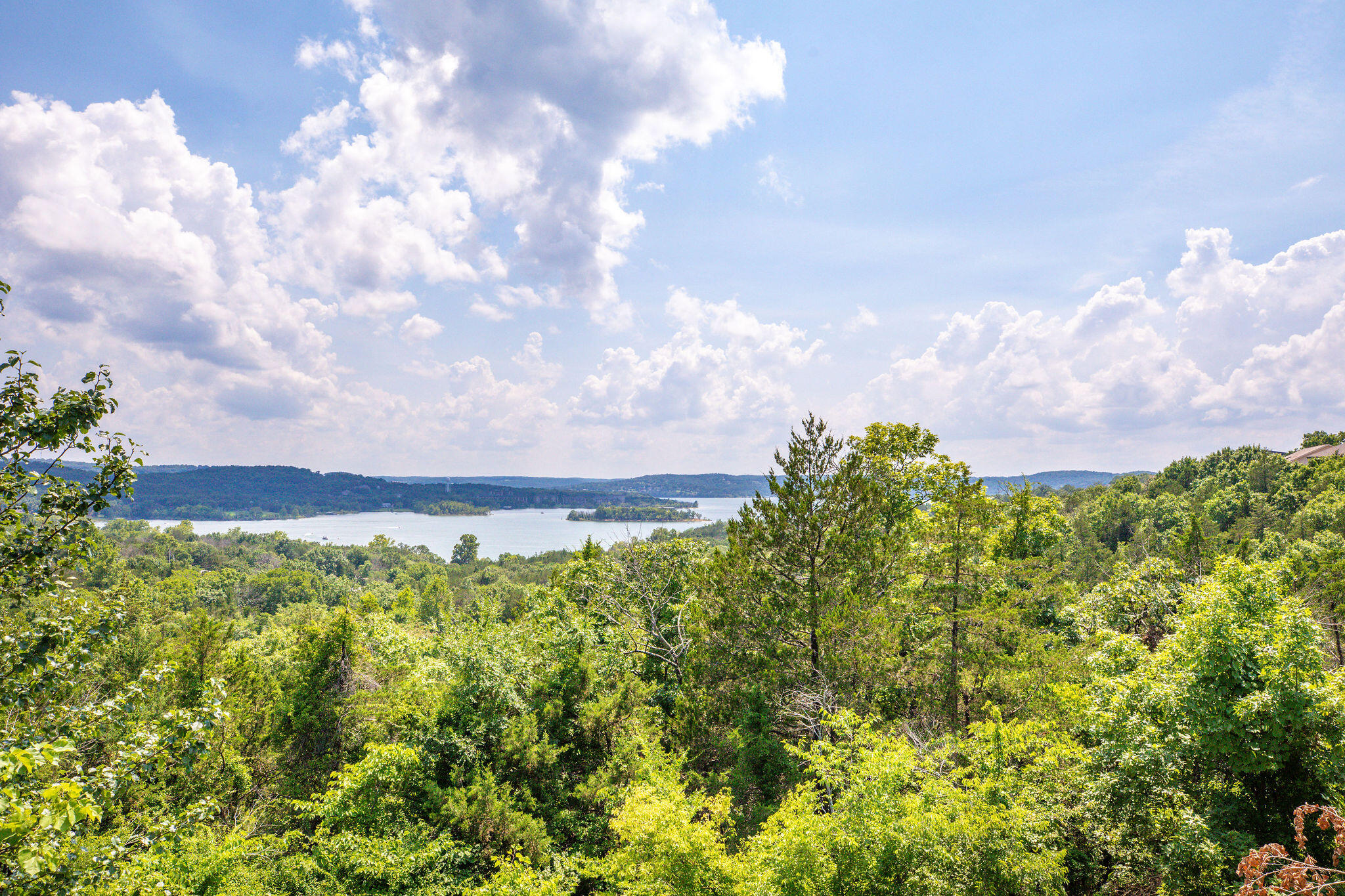 Photo 8 - Land for sale – Lot 91  Samaras Way  Hollister, MO