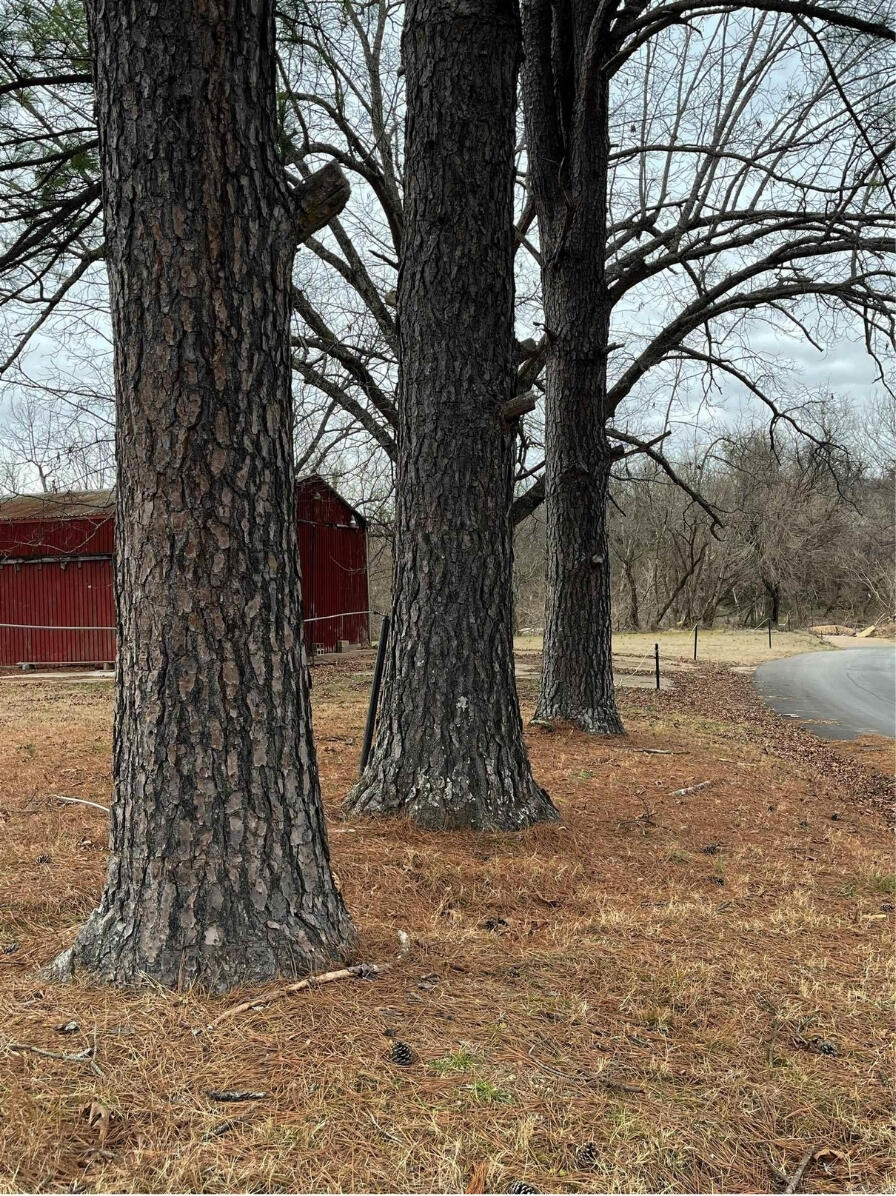 Photo 19 - Land for sale – 000  County Road 268   Thayer, MO