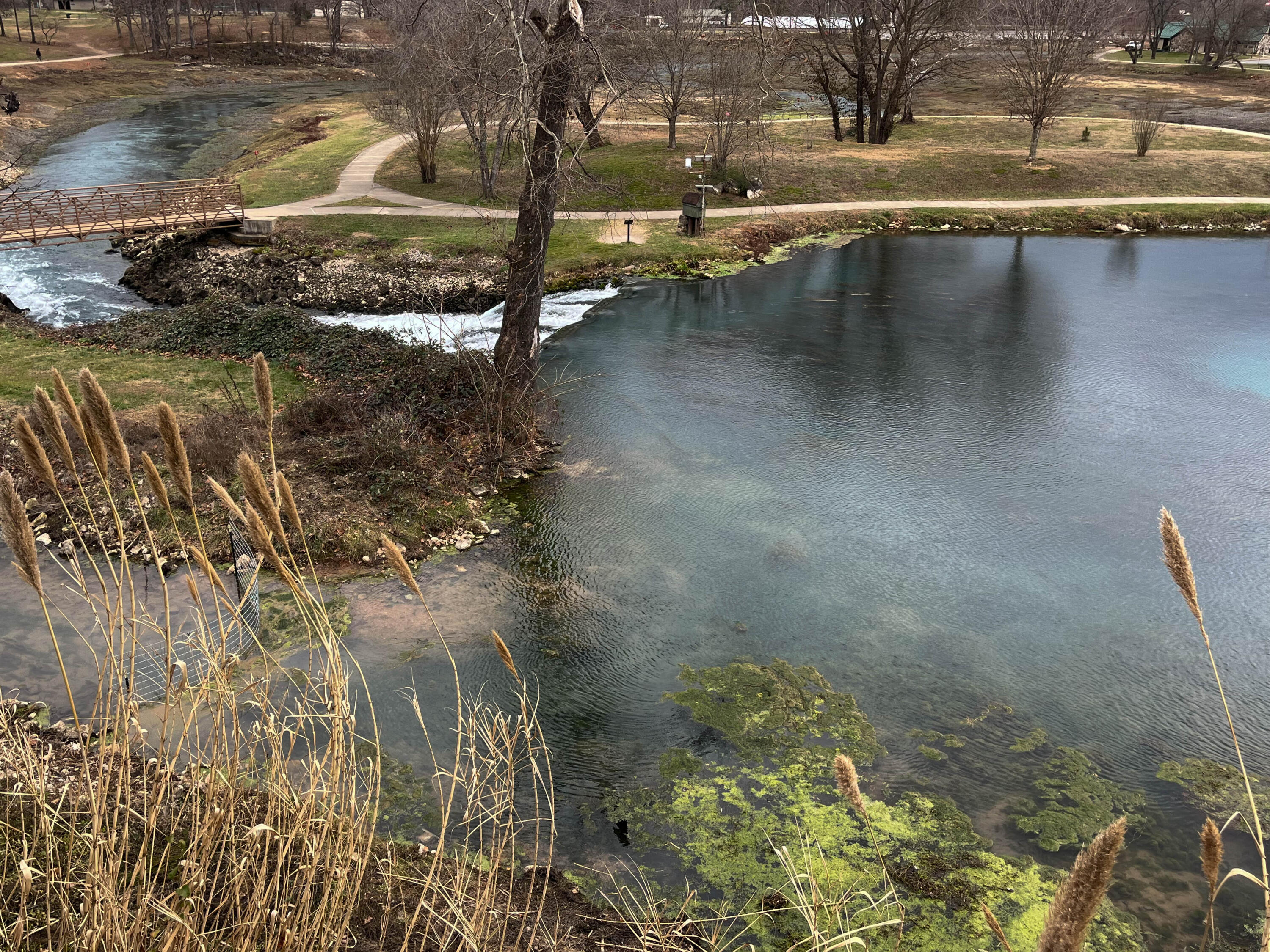 Photo 33 - Land for sale – 000  County Road 268   Thayer, MO