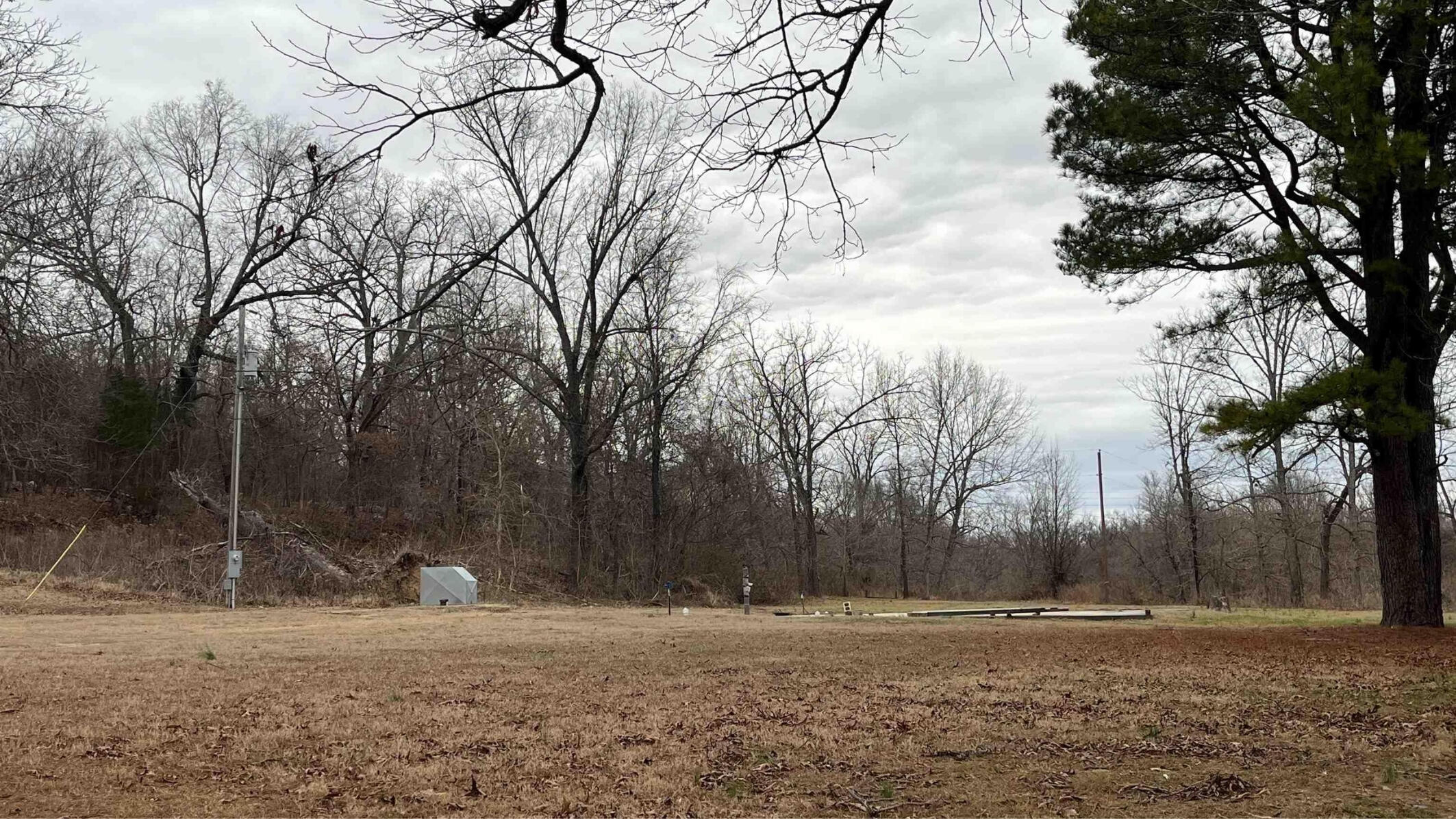 Photo 14 - Land for sale – 000  County Road 268   Thayer, MO