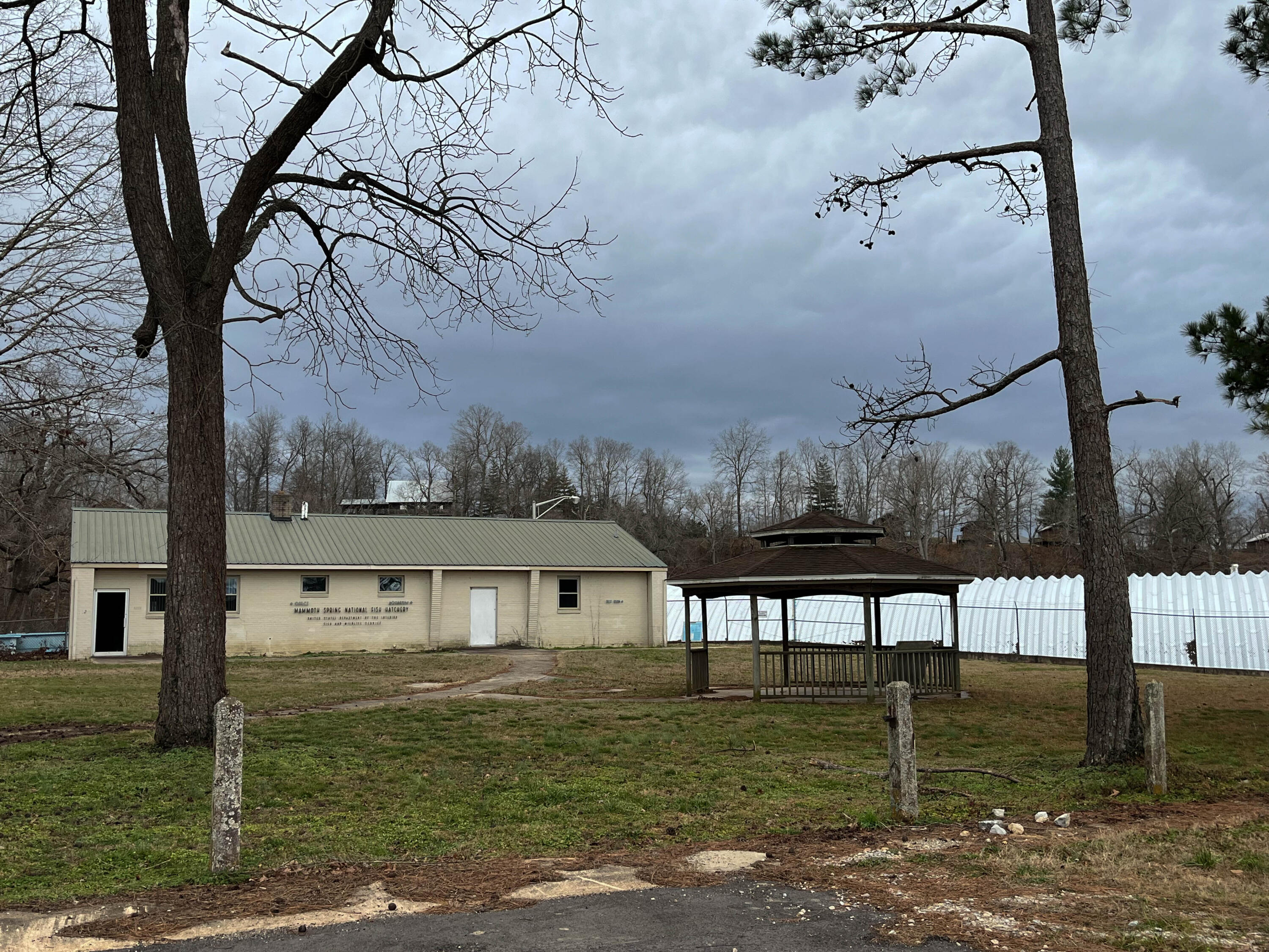 Photo 28 - Land for sale – 000  County Road 268   Thayer, MO