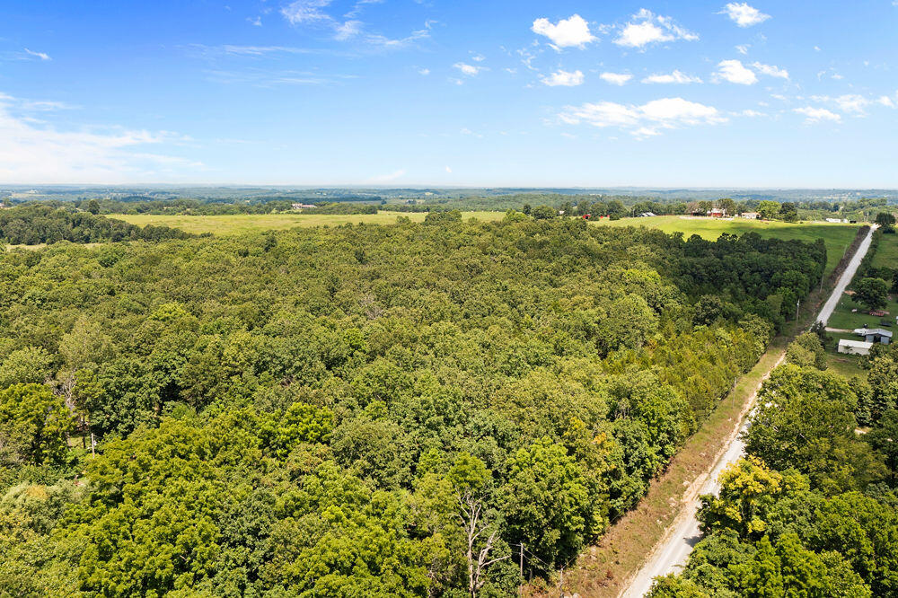 Photo 10 - Land for sale – 000  County Road 5-411   Ava, MO