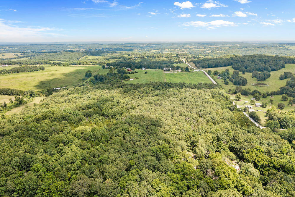 Photo 3 - Land for sale – 000  County Road 5-411   Ava, MO