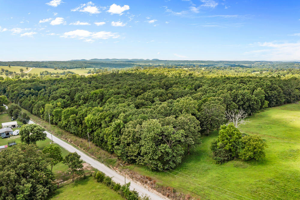 Photo 11 - Land for sale – 000  County Road 5-411   Ava, MO