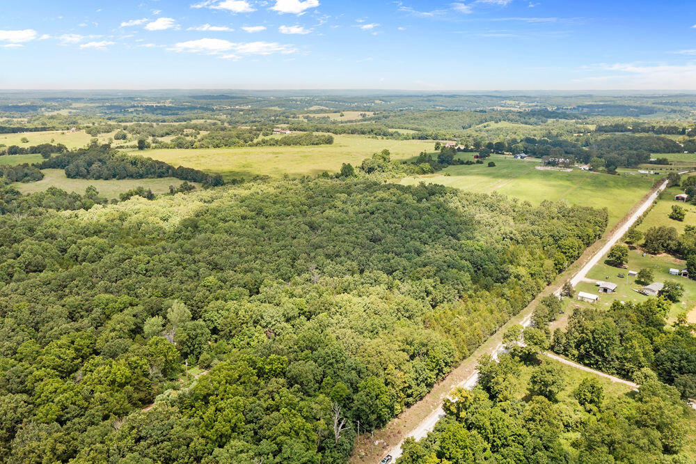 Photo 2 - Land for sale – 000  County Road 5-411   Ava, MO