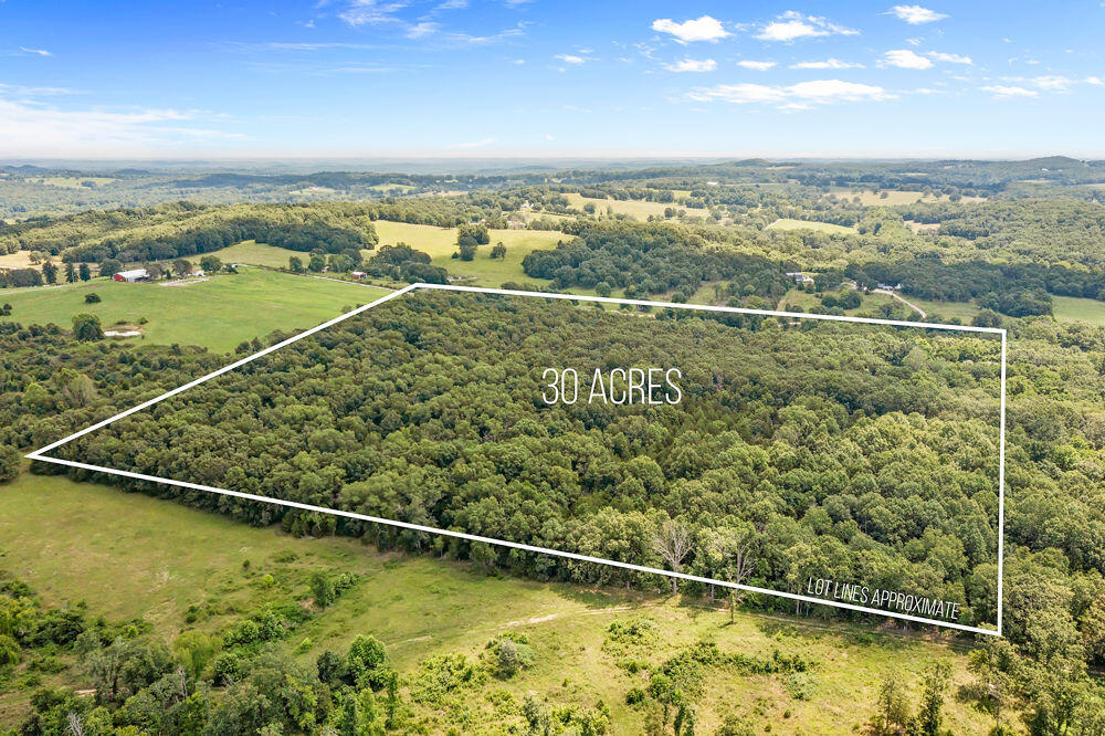 Photo 4 - Land for sale – 000  County Road 5-411   Ava, MO