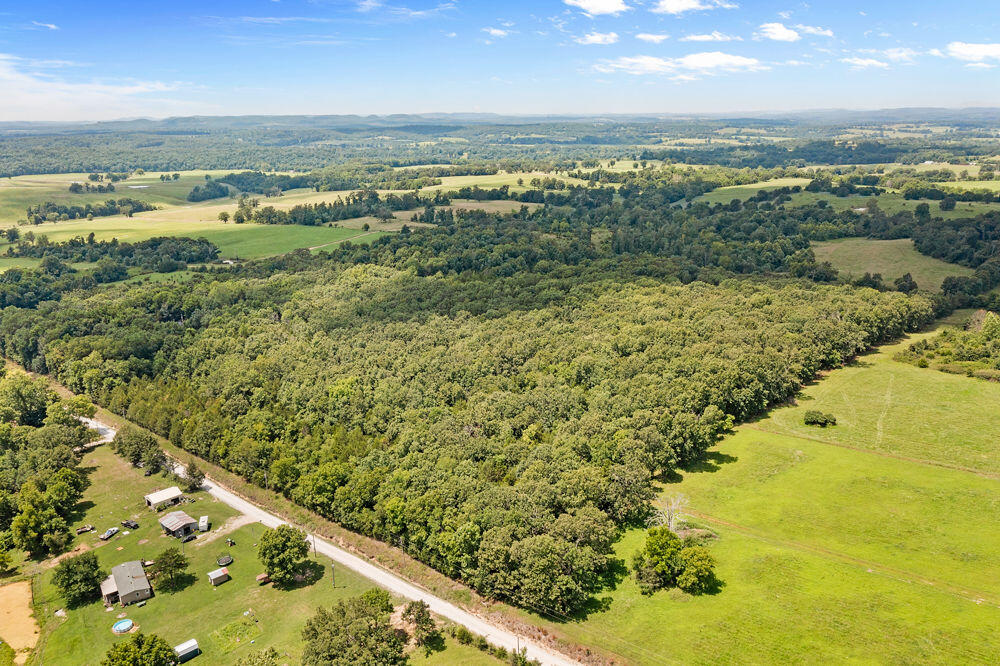 Photo 8 - Land for sale – 000  County Road 5-411   Ava, MO