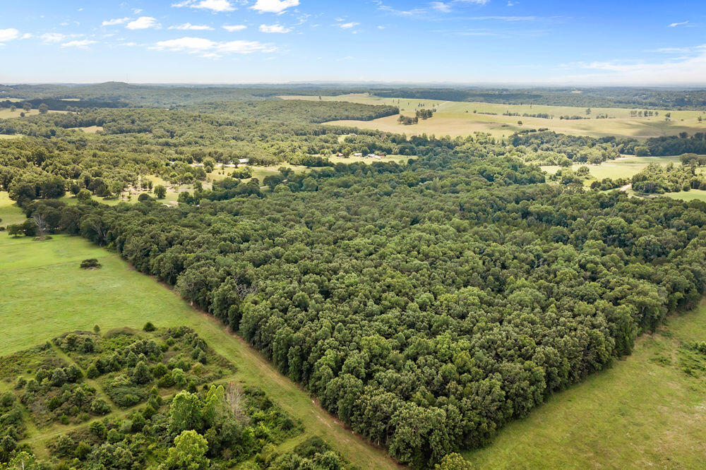 Photo 6 - Land for sale – 000  County Road 5-411   Ava, MO