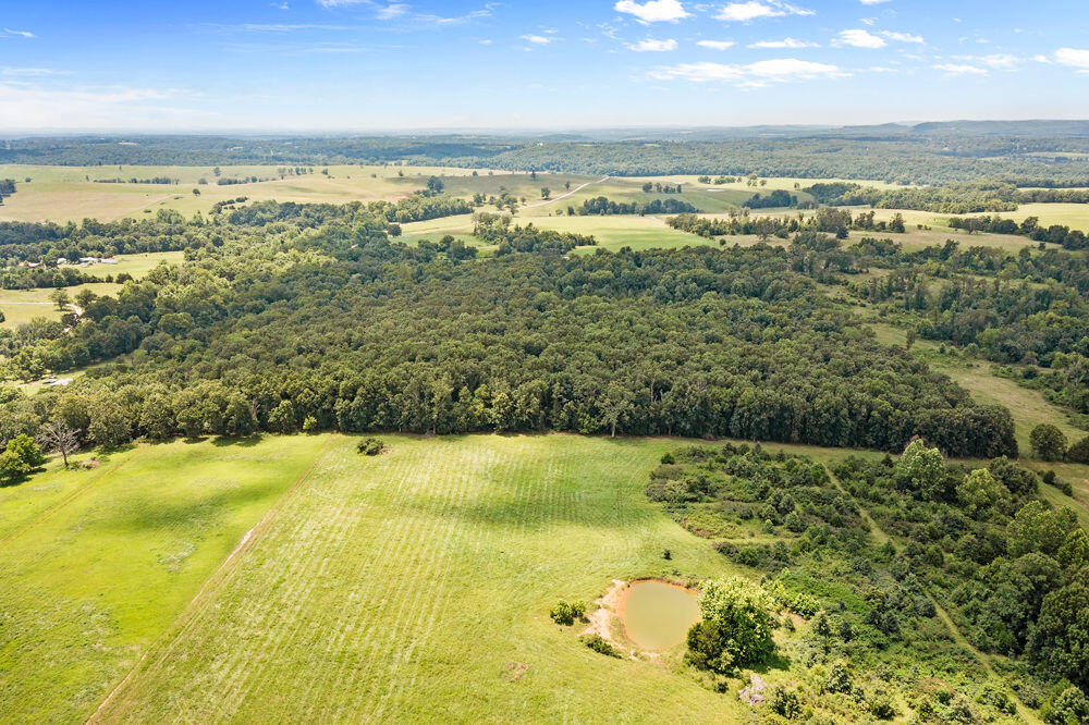Photo 7 - Land for sale – 000  County Road 5-411   Ava, MO