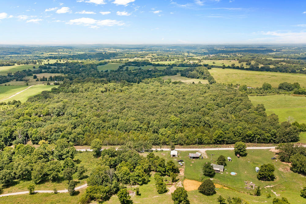 Photo 9 - Land for sale – 000  County Road 5-411   Ava, MO