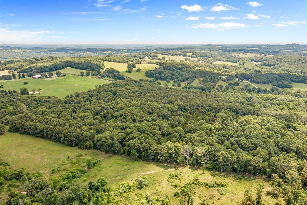 Photo 5 - Land for sale – 000  County Road 5-411   Ava, MO
