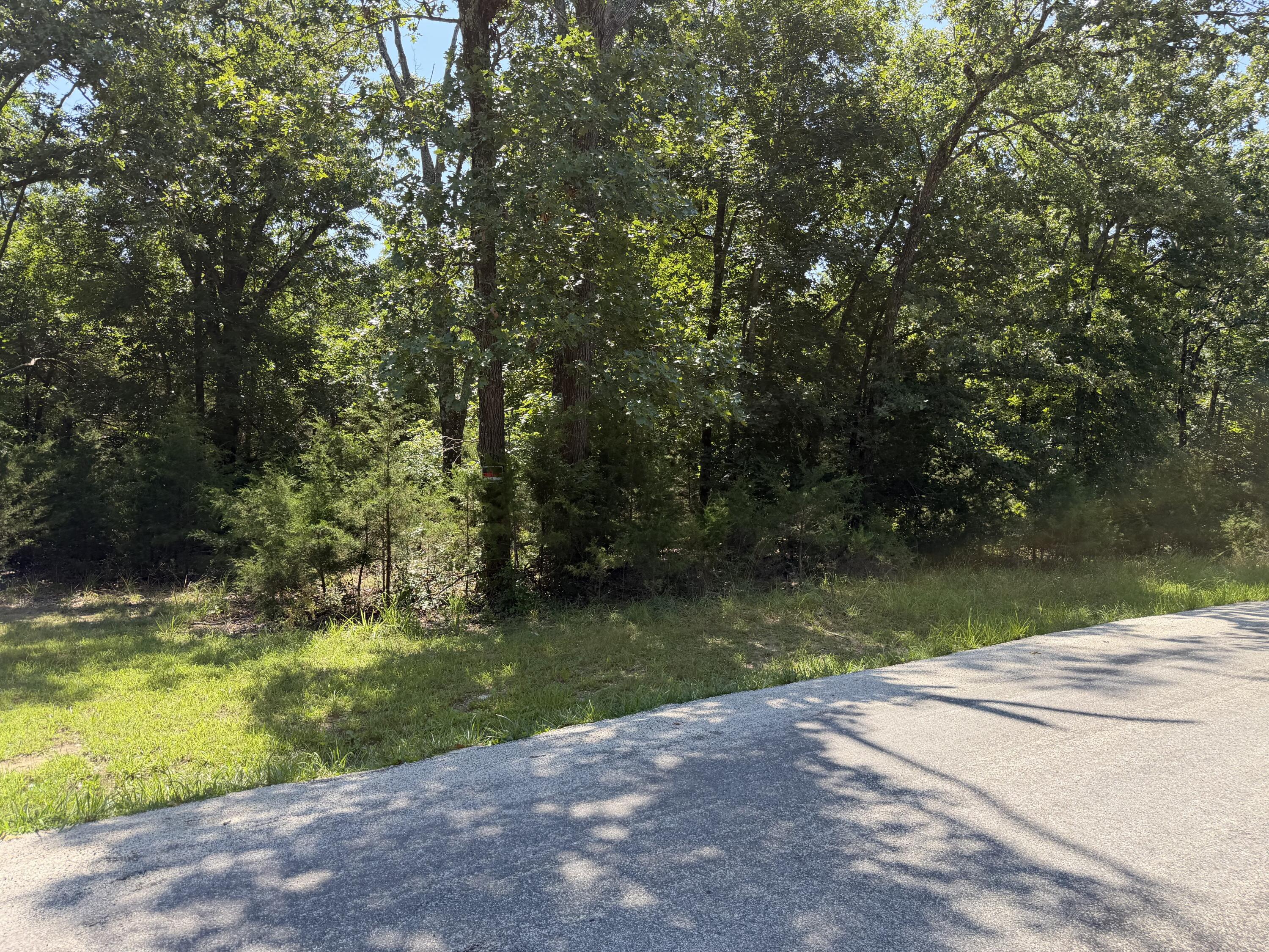 Photo 10 - Land for sale – Lot 6  Woodbury Drive  Forsyth, MO