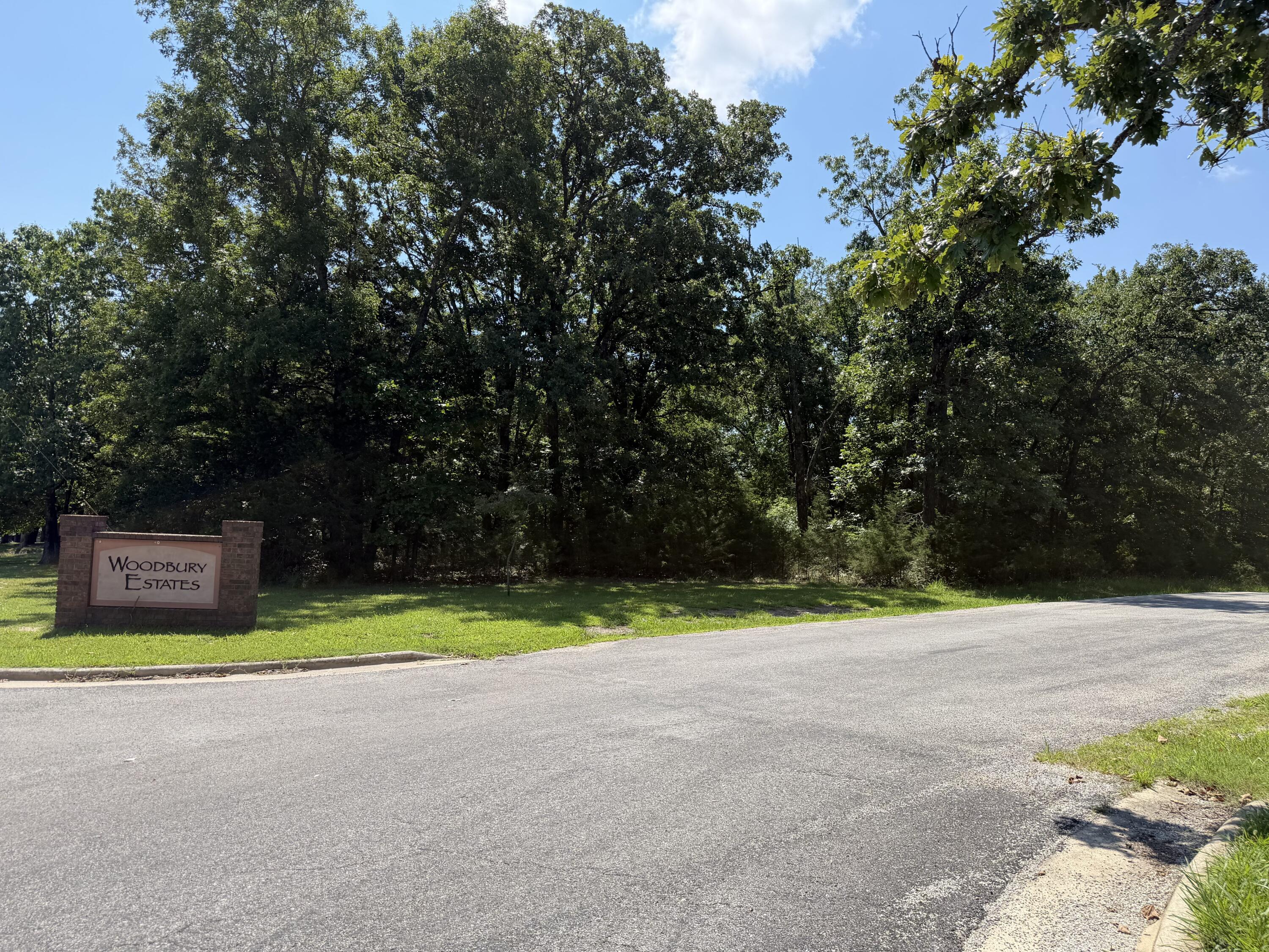 Photo 8 - Land for sale – Lot 6  Woodbury Drive  Forsyth, MO