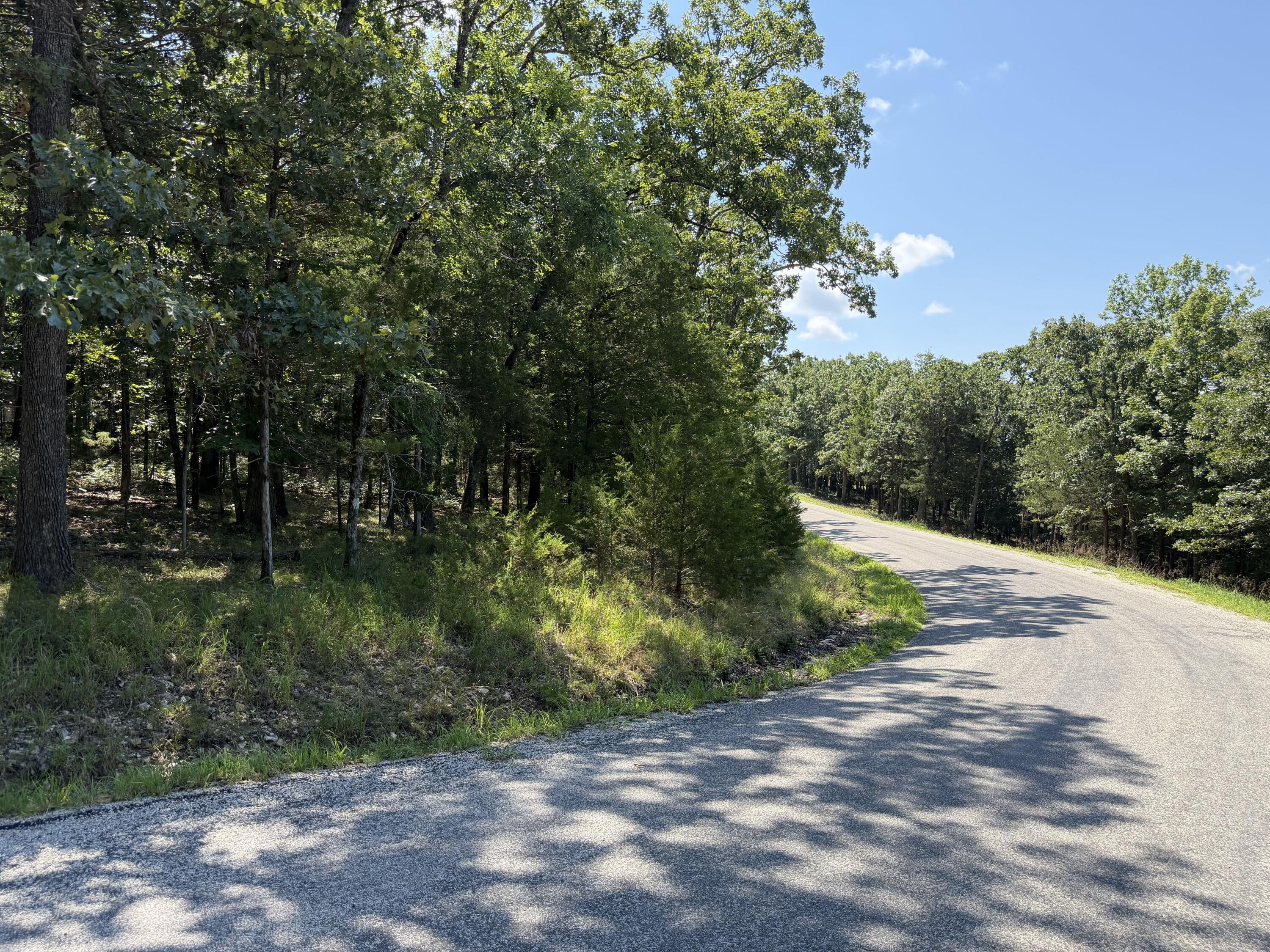 Photo 16 - Land for sale – Lot 6  Woodbury Drive  Forsyth, MO