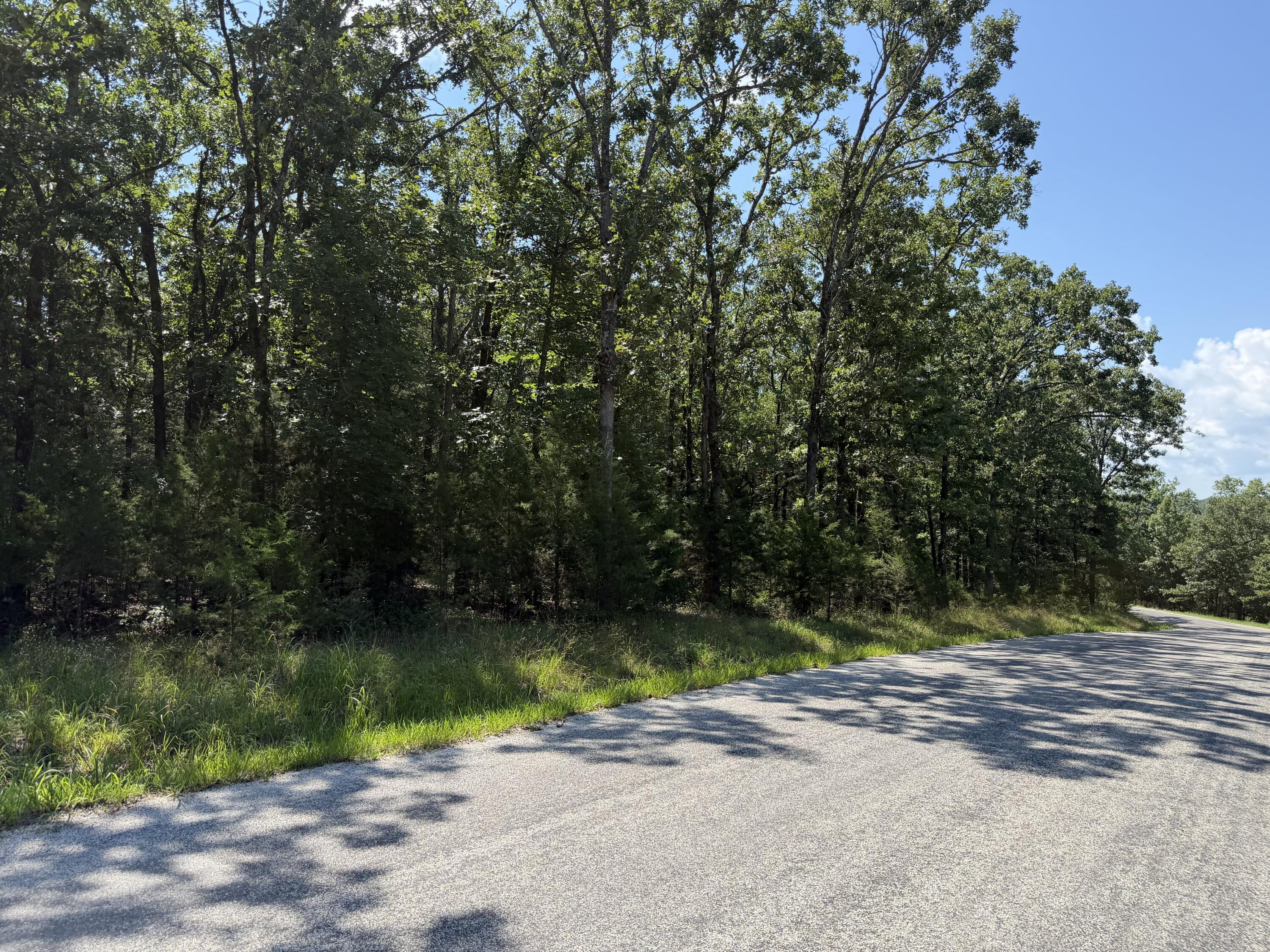 Photo 13 - Land for sale – Lot 6  Woodbury Drive  Forsyth, MO