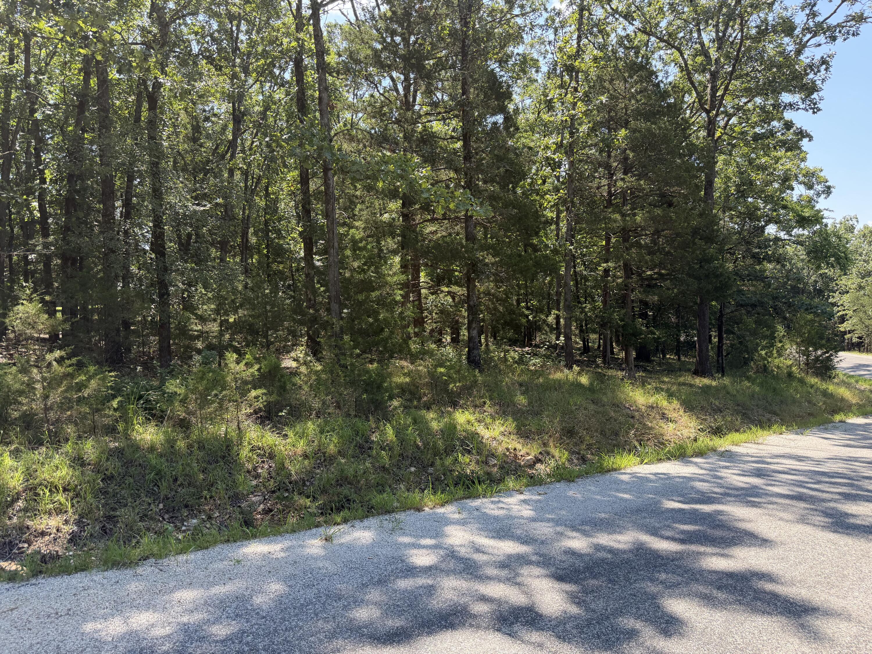 Photo 15 - Land for sale – Lot 6  Woodbury Drive  Forsyth, MO