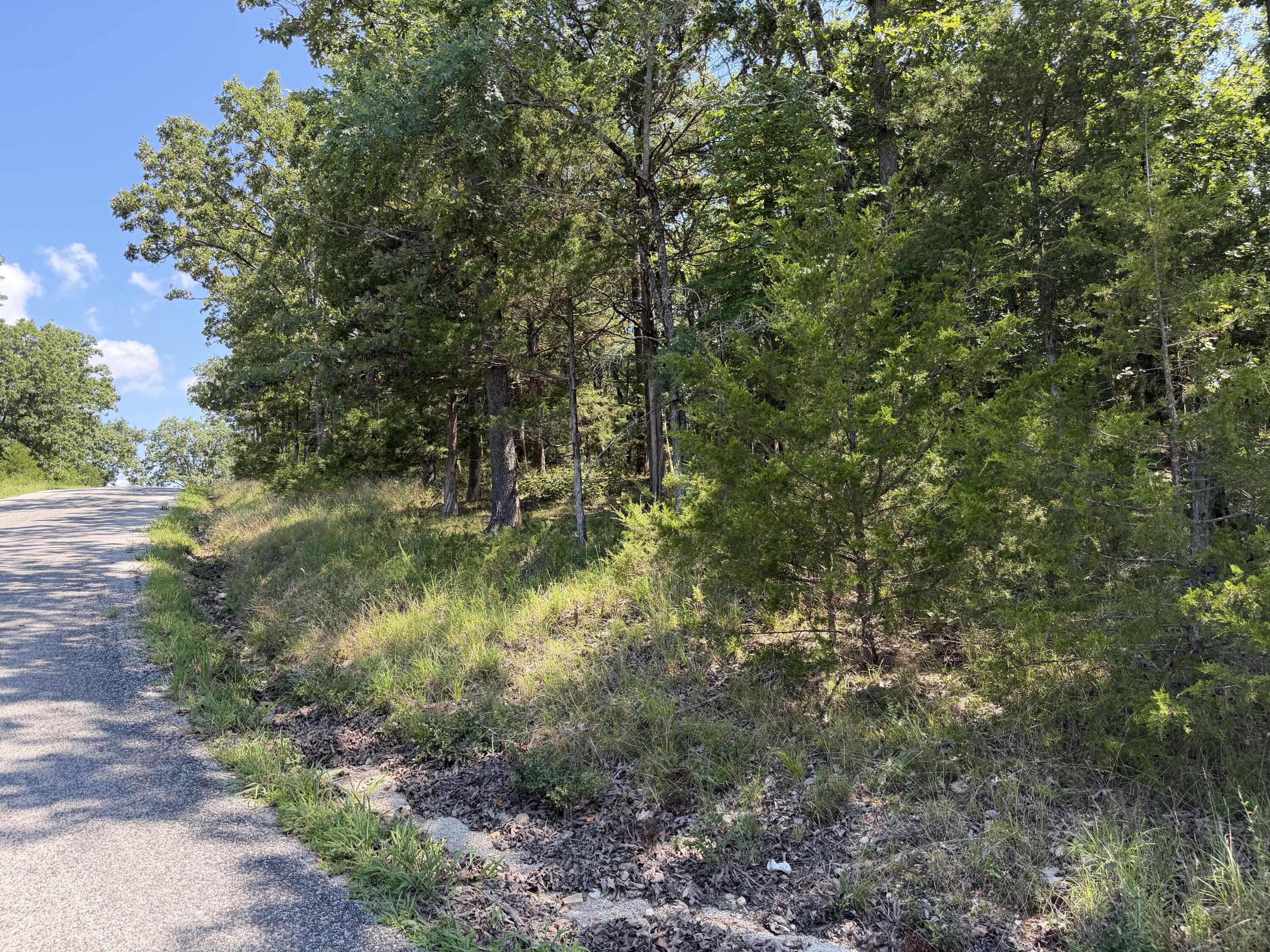 Photo 19 - Land for sale – Lot 6  Woodbury Drive  Forsyth, MO