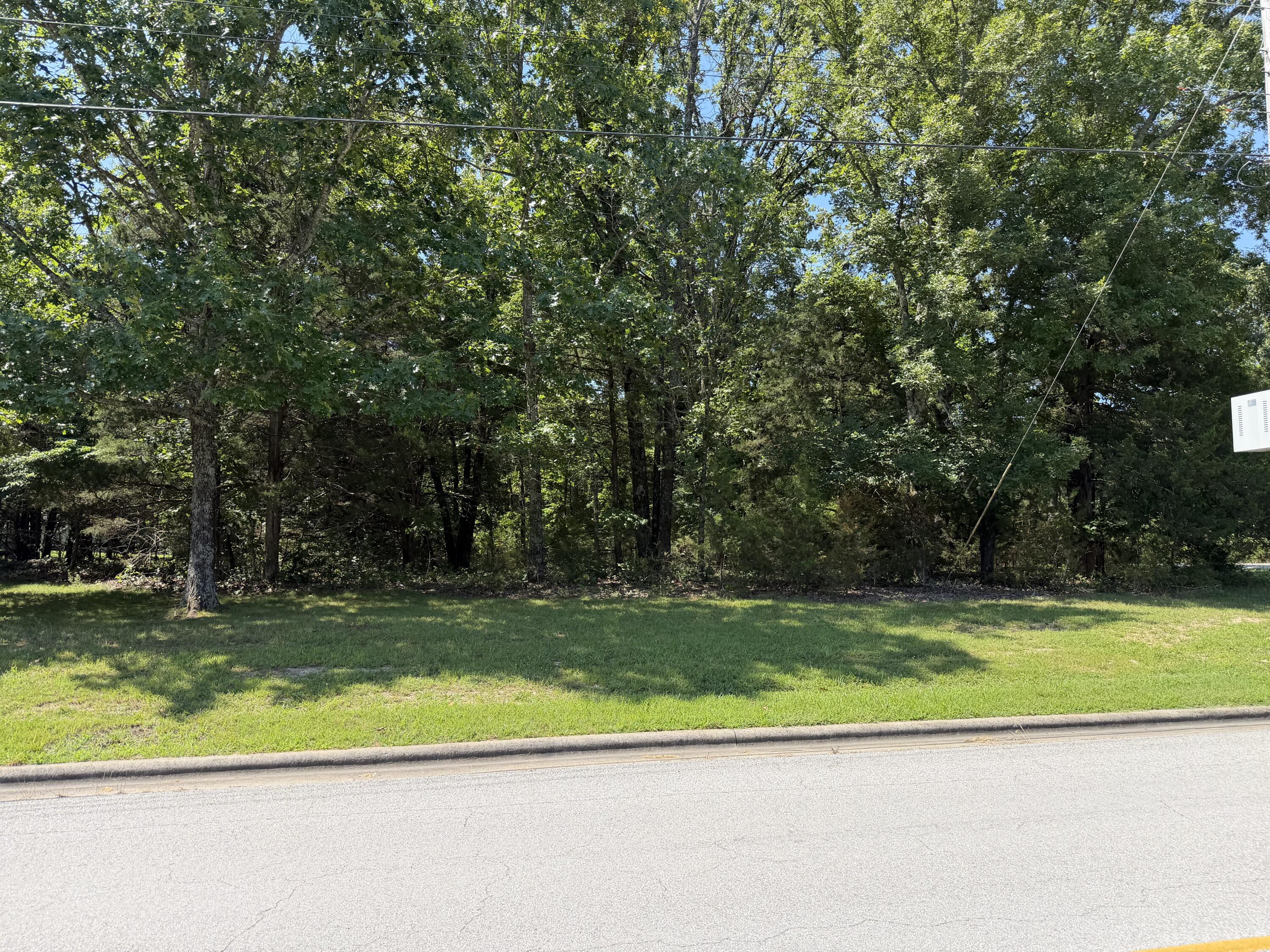 Photo 6 - Land for sale – Lot 6  Woodbury Drive  Forsyth, MO