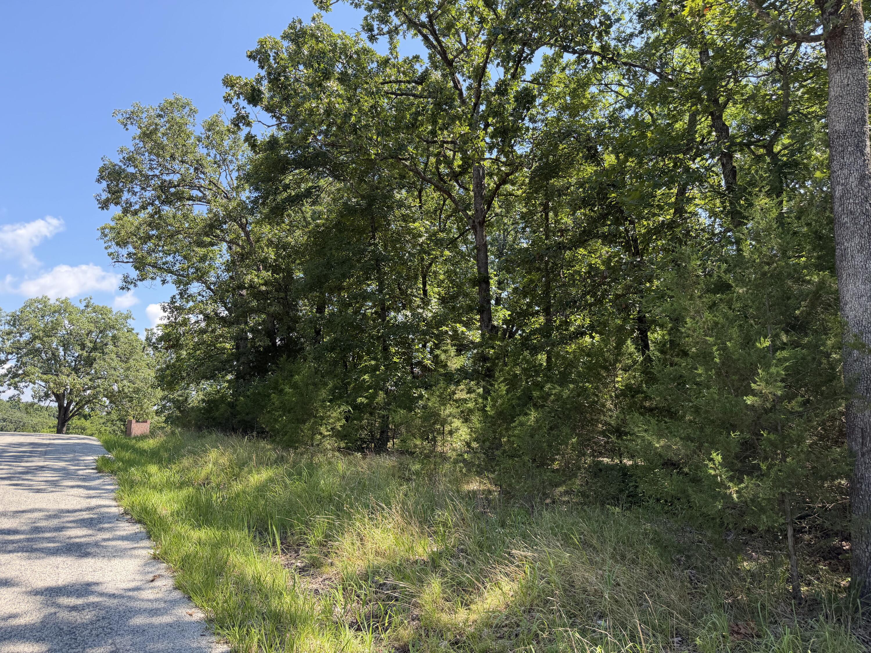 Photo 22 - Land for sale – Lot 6  Woodbury Drive  Forsyth, MO