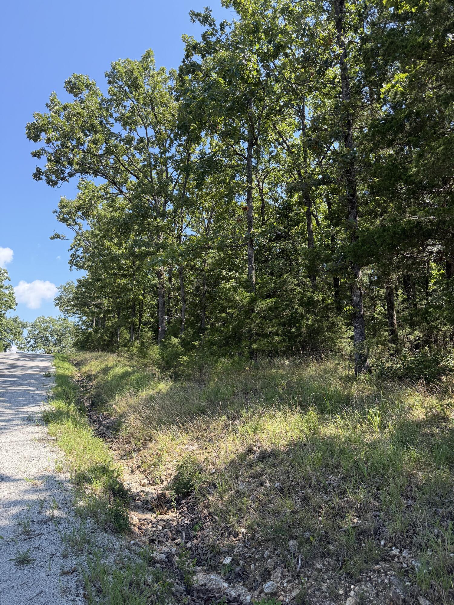 Photo 21 - Land for sale – Lot 6  Woodbury Drive  Forsyth, MO