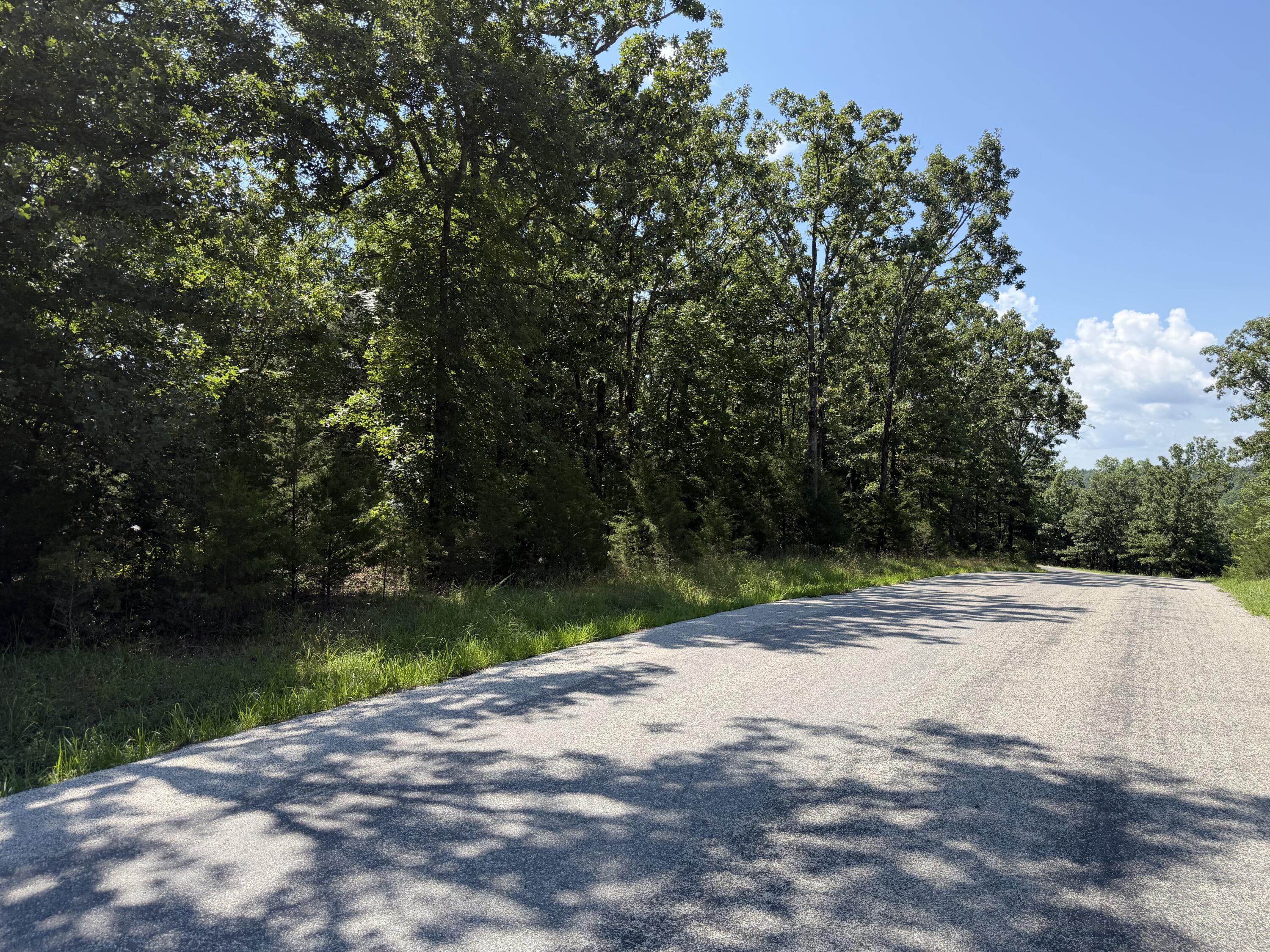 Photo 12 - Land for sale – Lot 6  Woodbury Drive  Forsyth, MO
