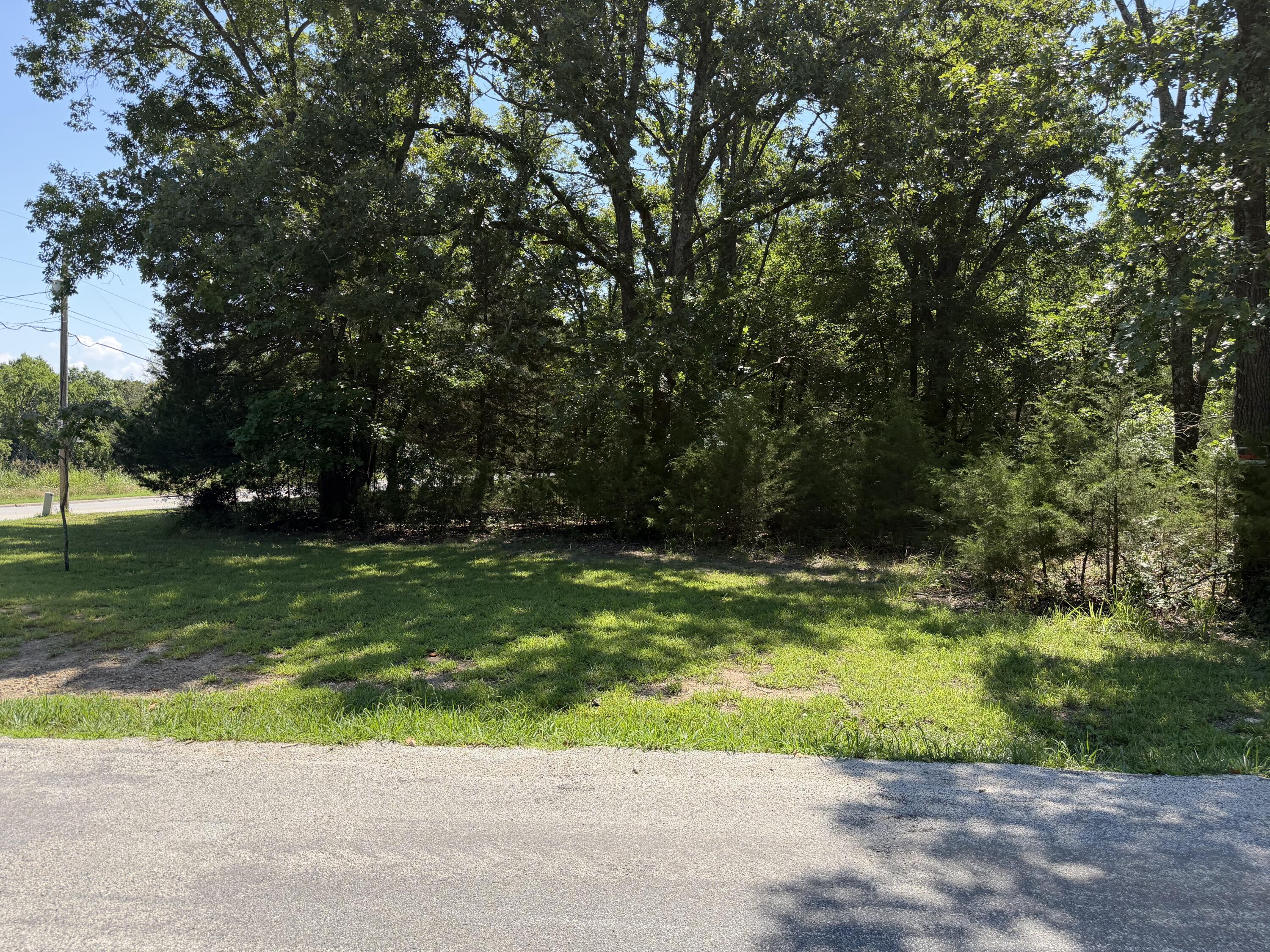 Photo 11 - Land for sale – Lot 6  Woodbury Drive  Forsyth, MO