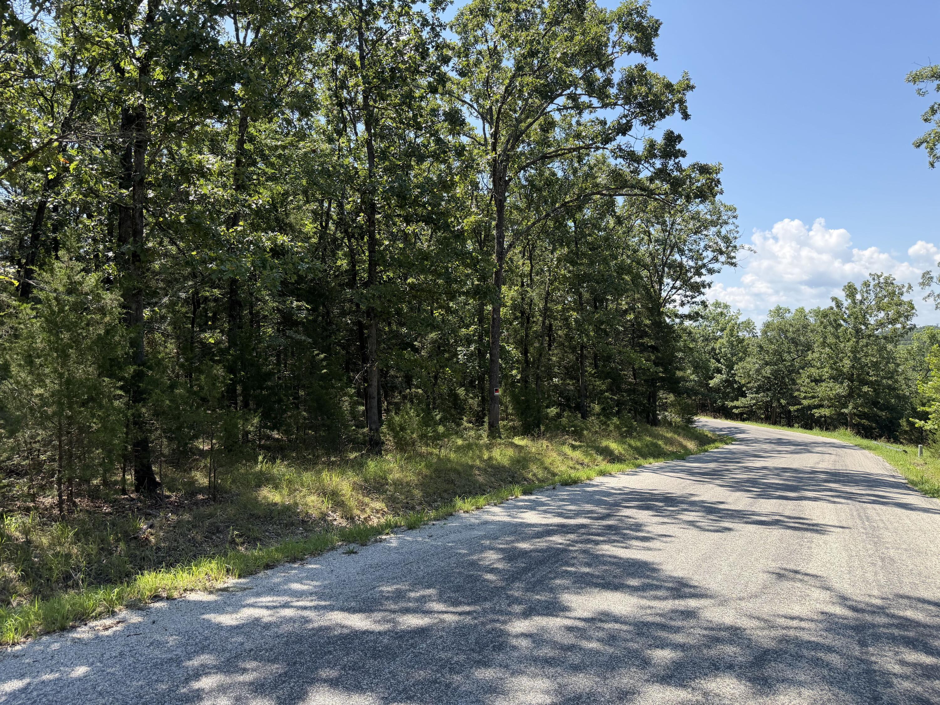 Photo 14 - Land for sale – Lot 6  Woodbury Drive  Forsyth, MO