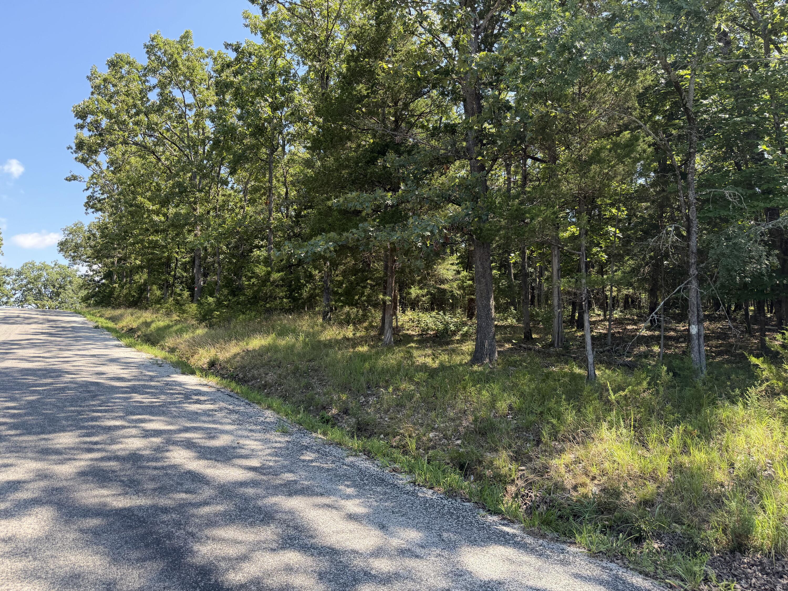 Photo 18 - Land for sale – Lot 6  Woodbury Drive  Forsyth, MO