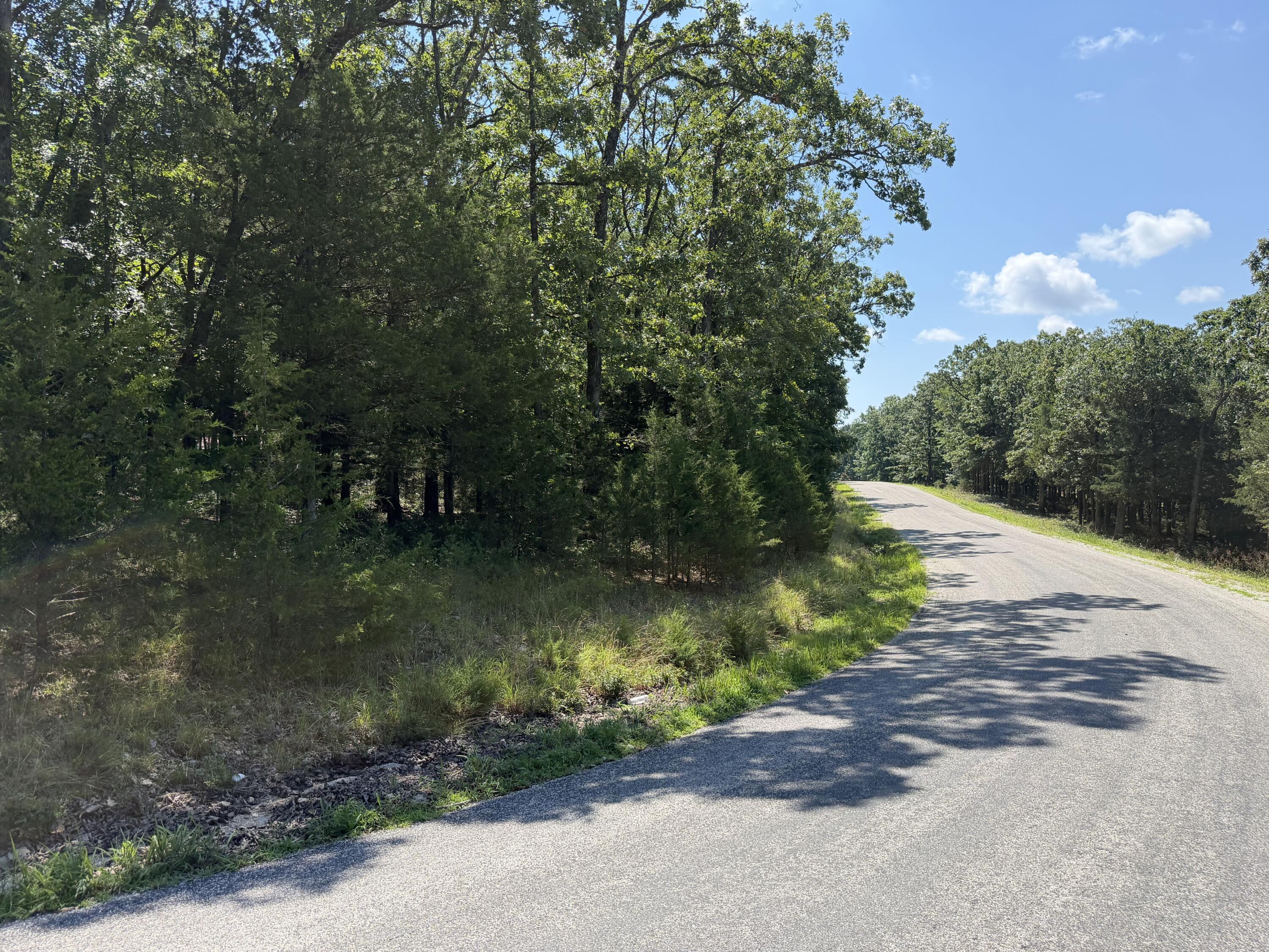 Photo 17 - Land for sale – Lot 6  Woodbury Drive  Forsyth, MO
