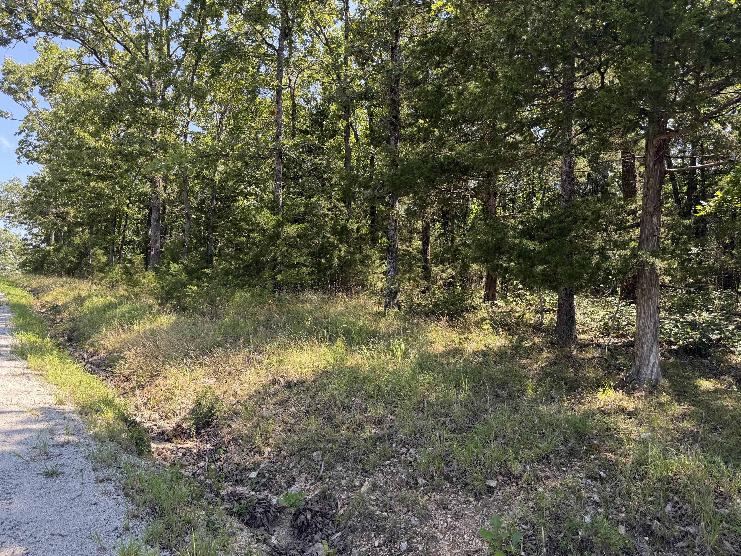 Photo 20 - Land for sale – Lot 6  Woodbury Drive  Forsyth, MO