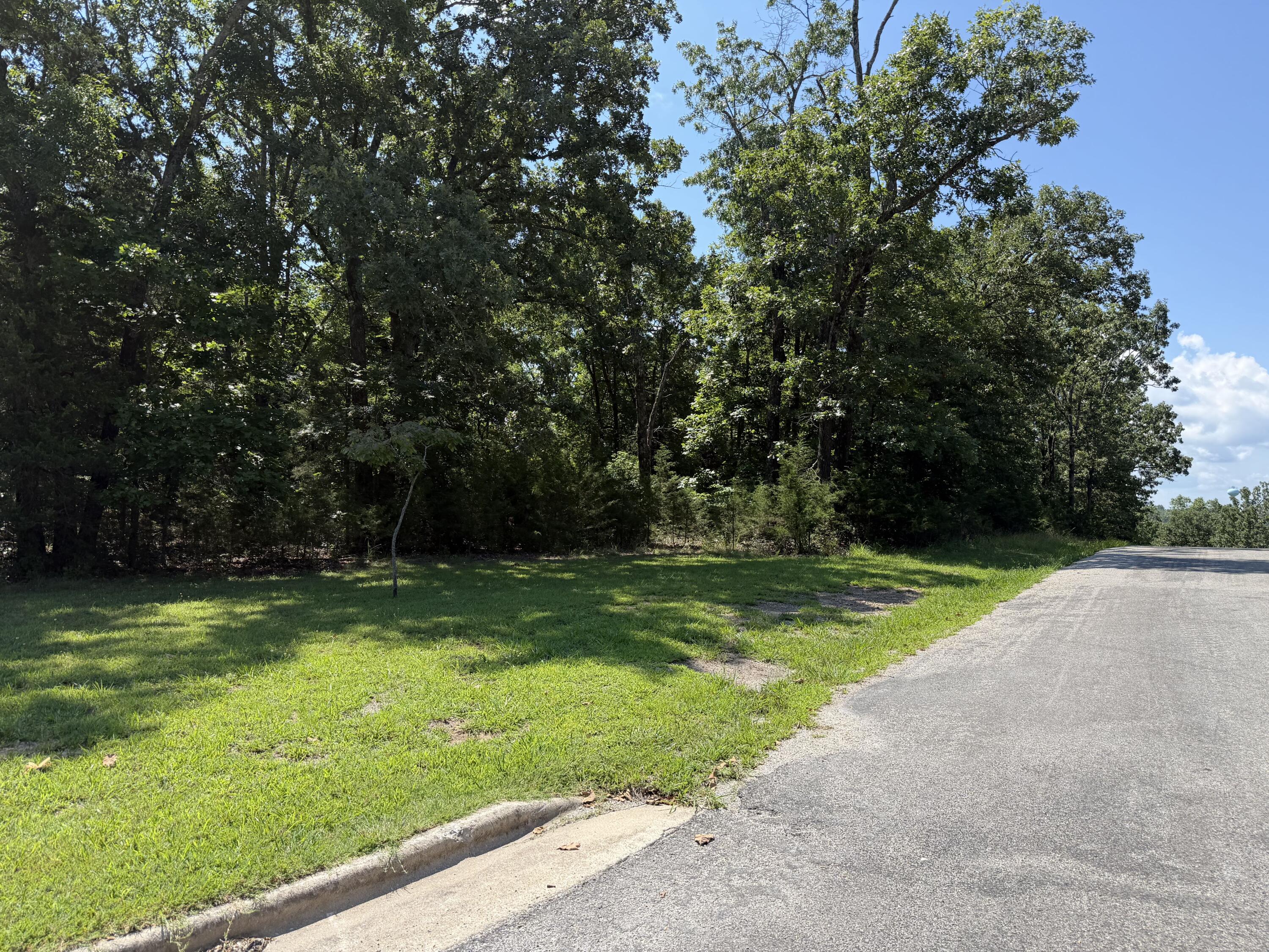 Photo 5 - Land for sale – Lot 6  Woodbury Drive  Forsyth, MO