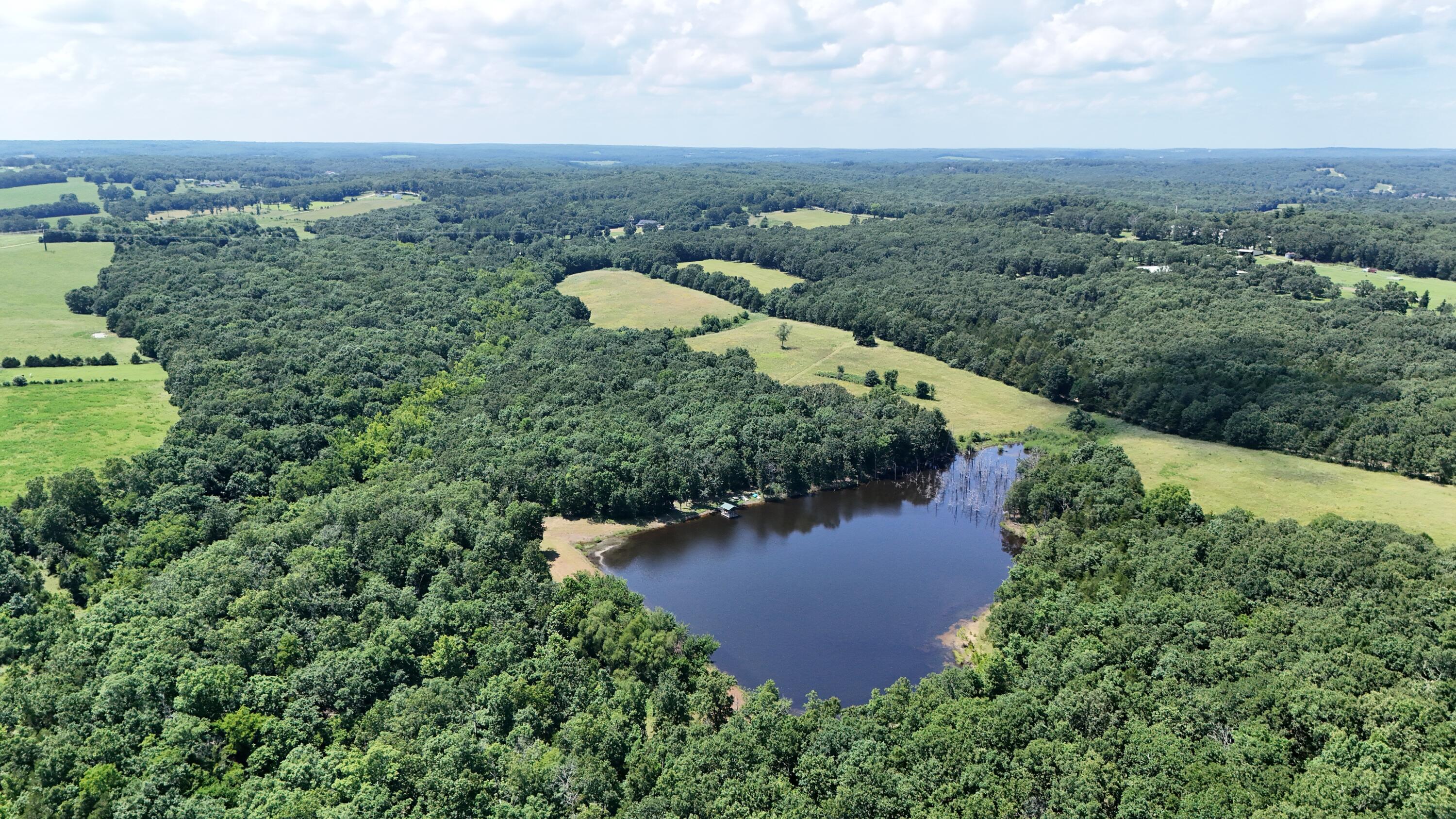 Photo 7 - Land for sale – 000  Maries Road 504   Dixon, MO