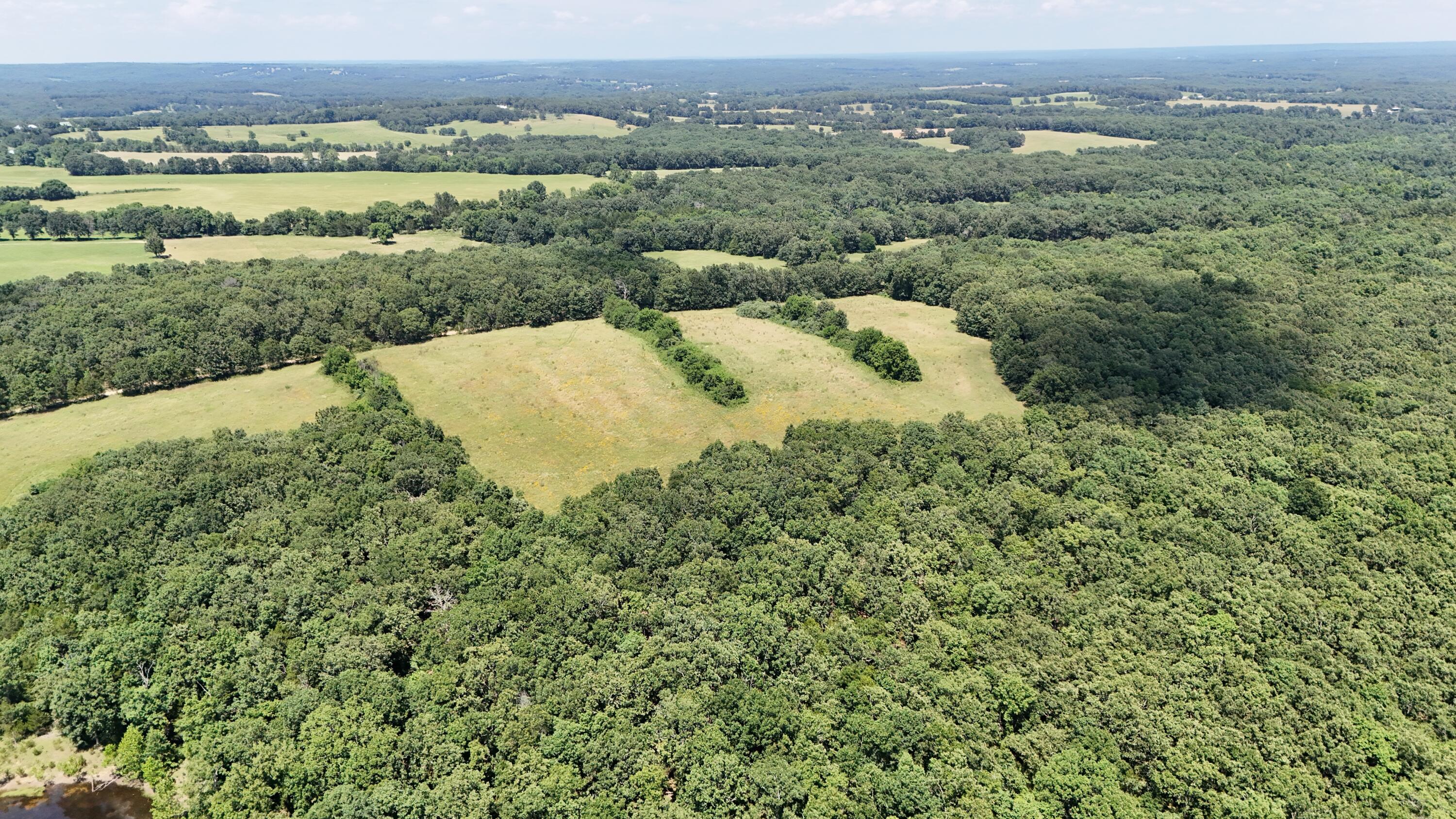 Photo 11 - Land for sale – 000  Maries Road 504   Dixon, MO