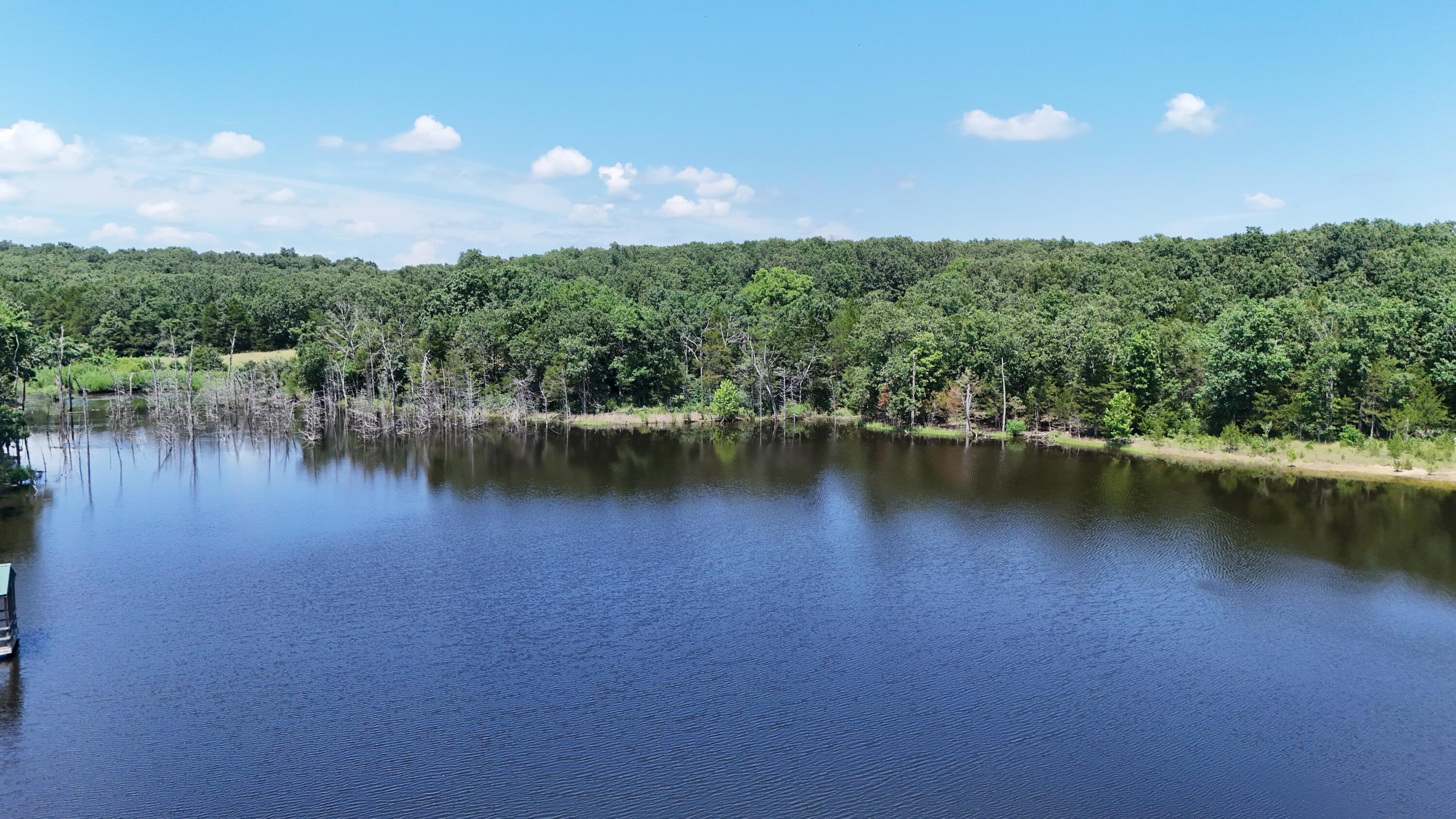 Photo 4 - Land for sale – 000  Maries Road 504   Dixon, MO
