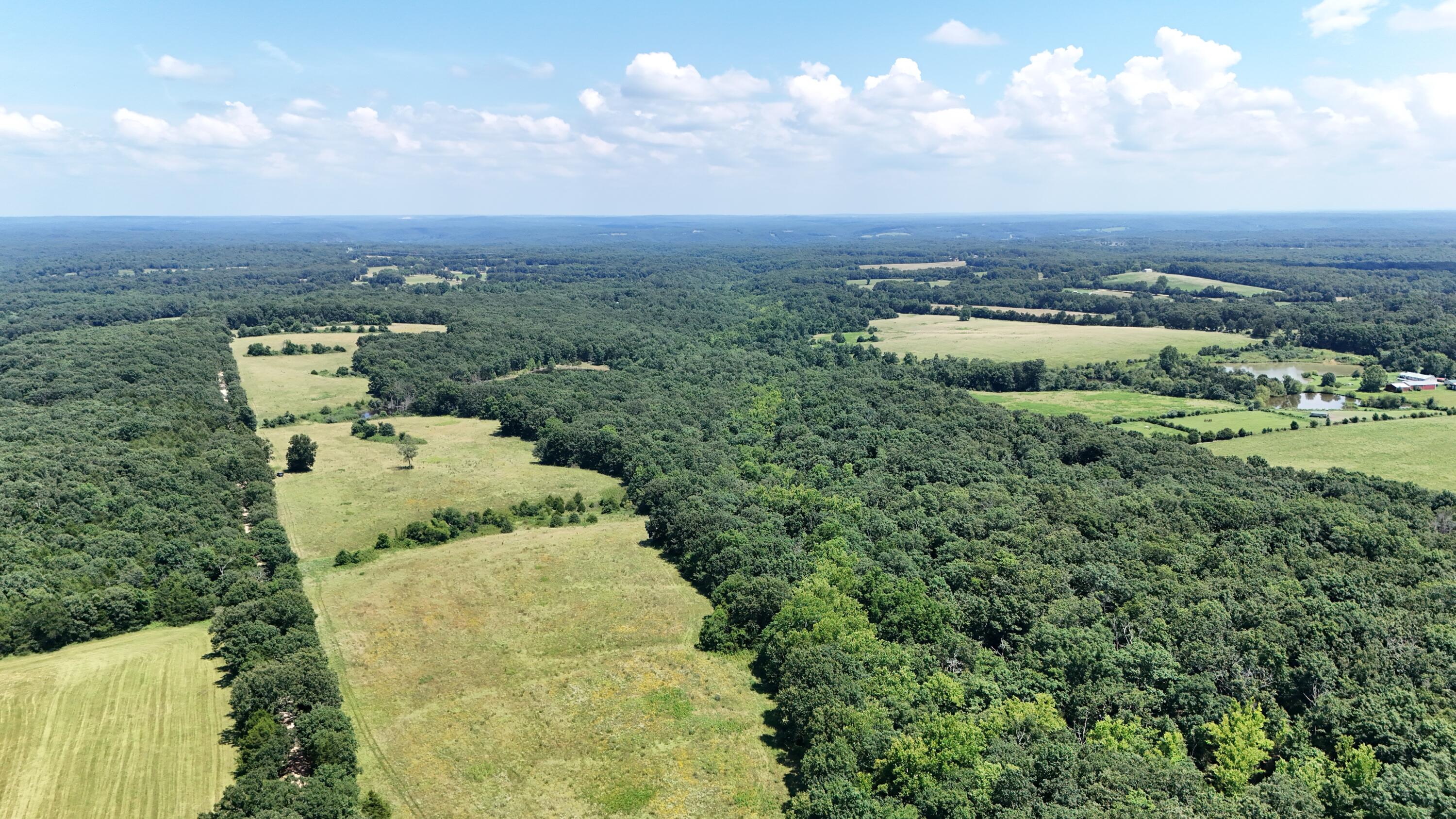 Photo 10 - Land for sale – 000  Maries Road 504   Dixon, MO
