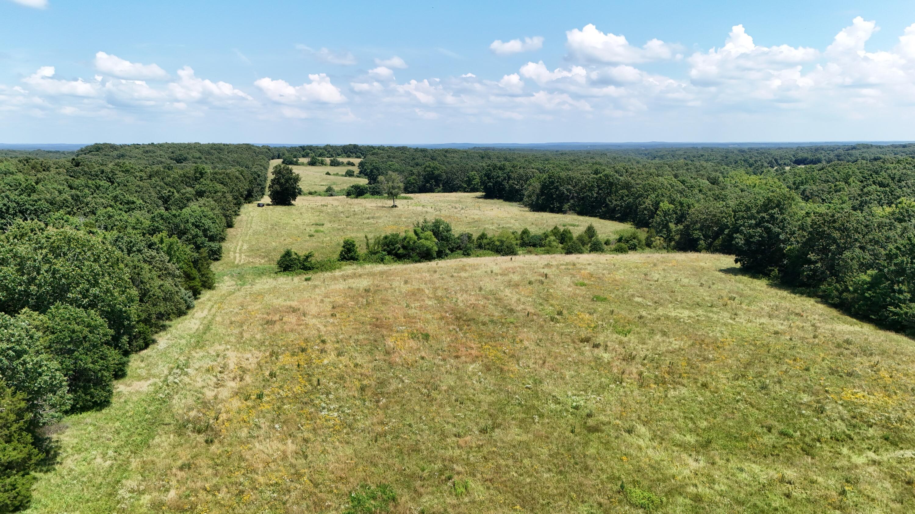 Photo 9 - Land for sale – 000  Maries Road 504   Dixon, MO