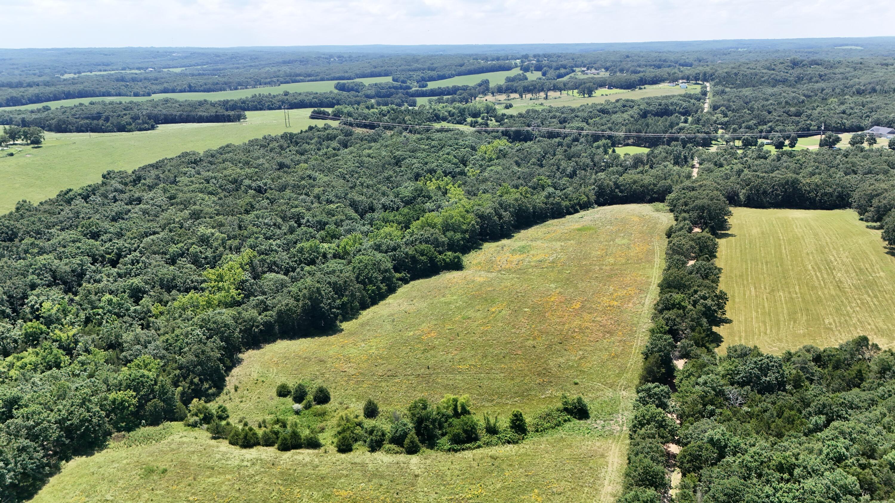 Photo 8 - Land for sale – 000  Maries Road 504   Dixon, MO