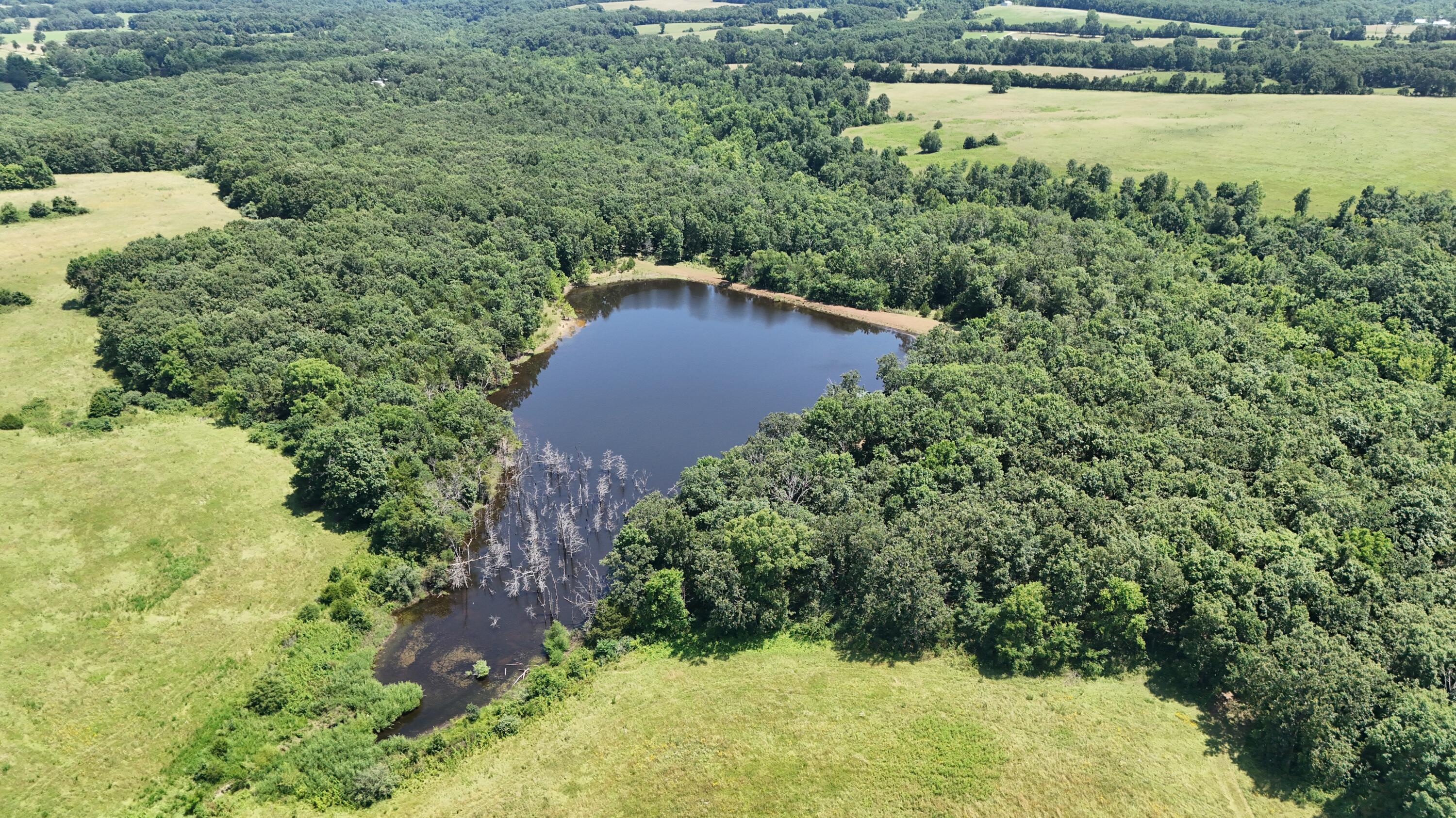 Photo 2 - Land for sale – 000  Maries Road 504   Dixon, MO