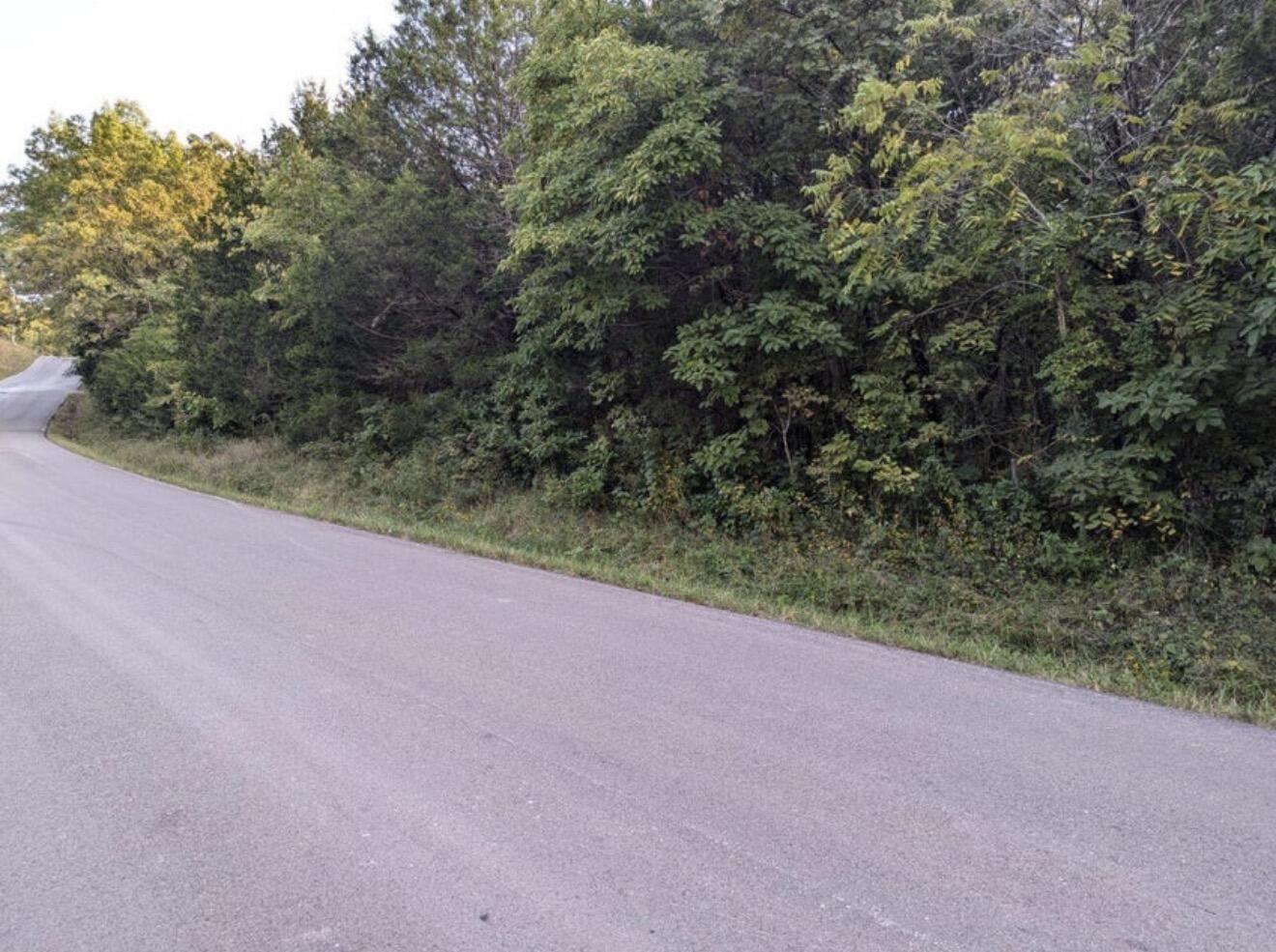 Photo 2 - Land for sale – 000  Grier Branch Road  Strafford, MO