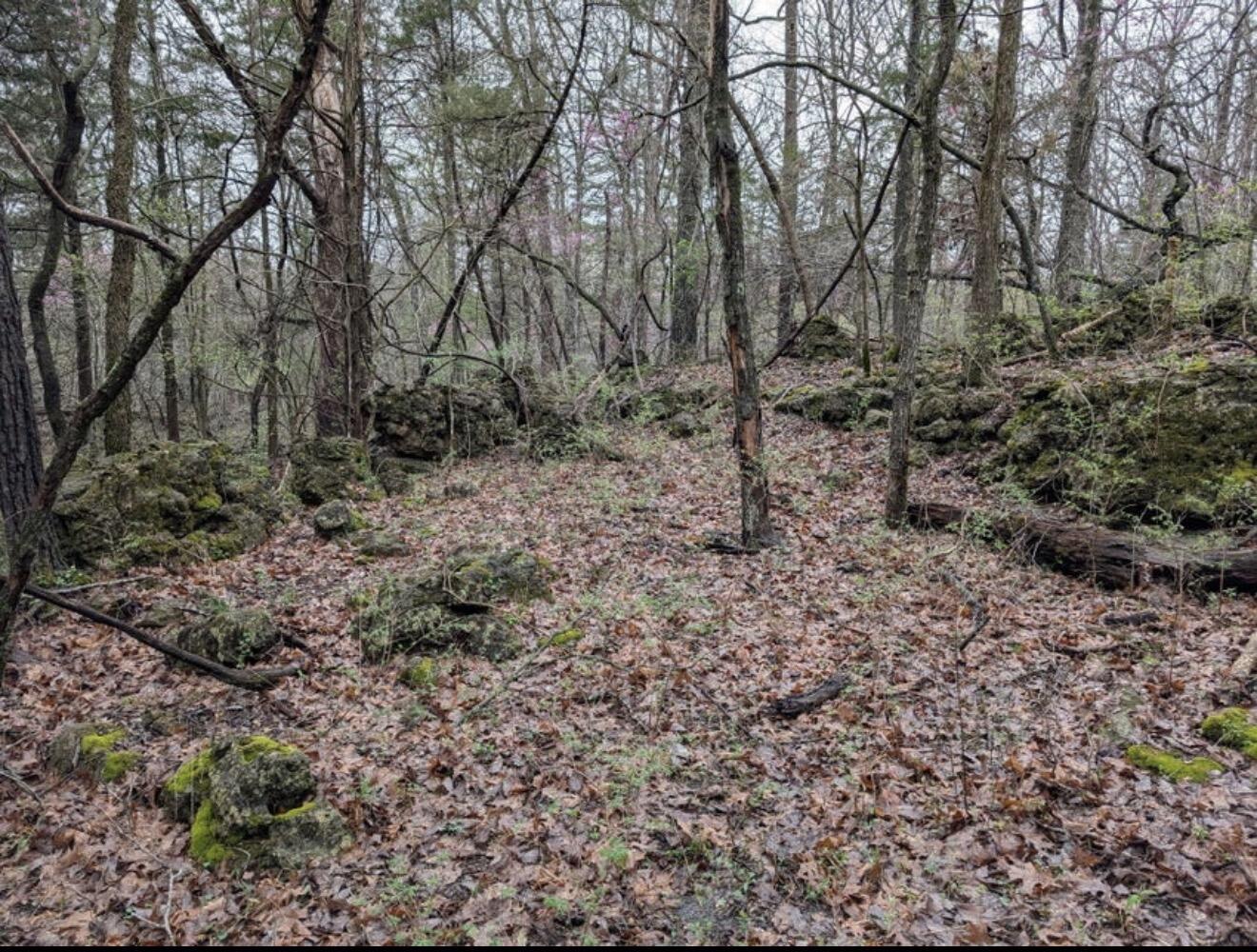 Land for sale – 000  Grier Branch Road  Strafford, MO